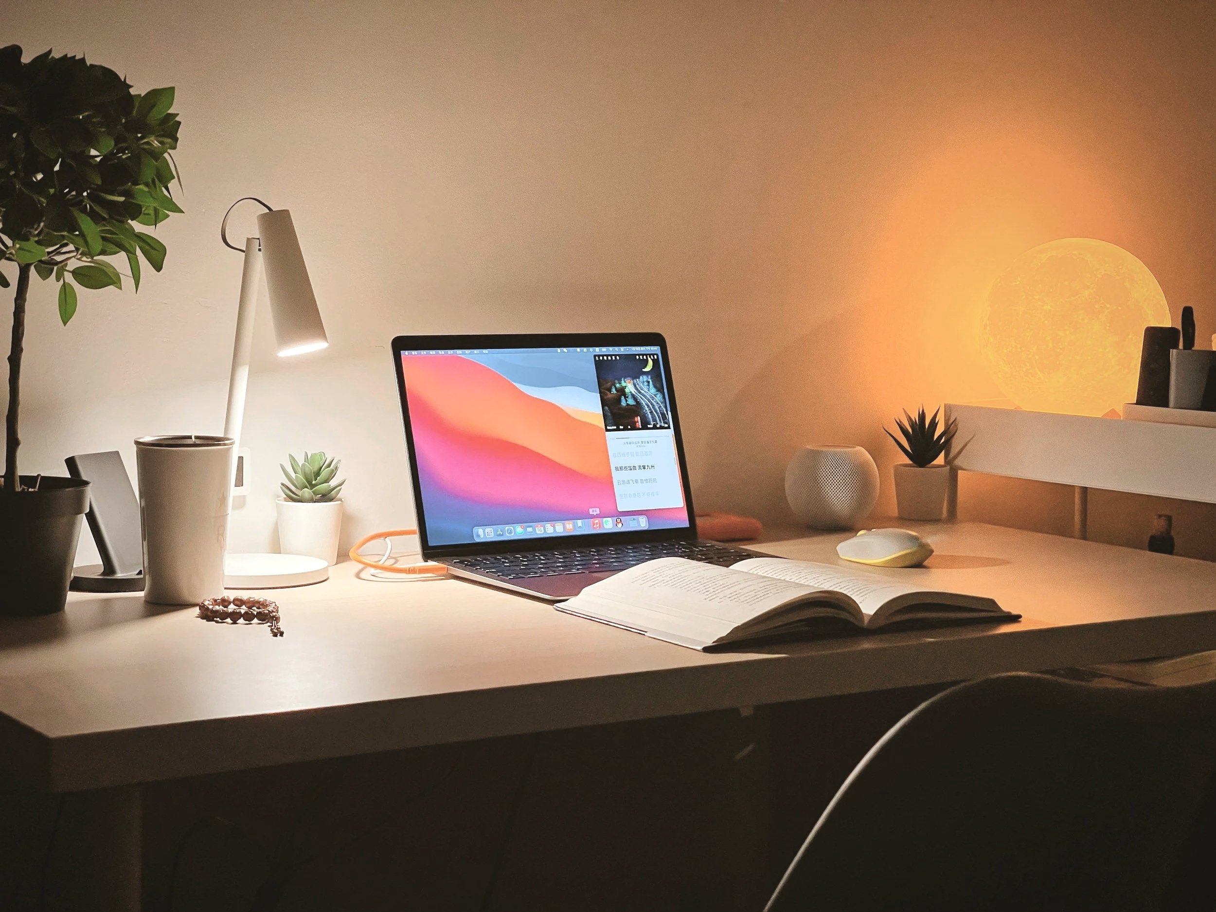 A home office workspace with a desk, potted plants, a laptop, an open book, a desk lamp, and a decorative ball. The background features a moonlit wall with an orange glow and a silhouetted cactus plant.