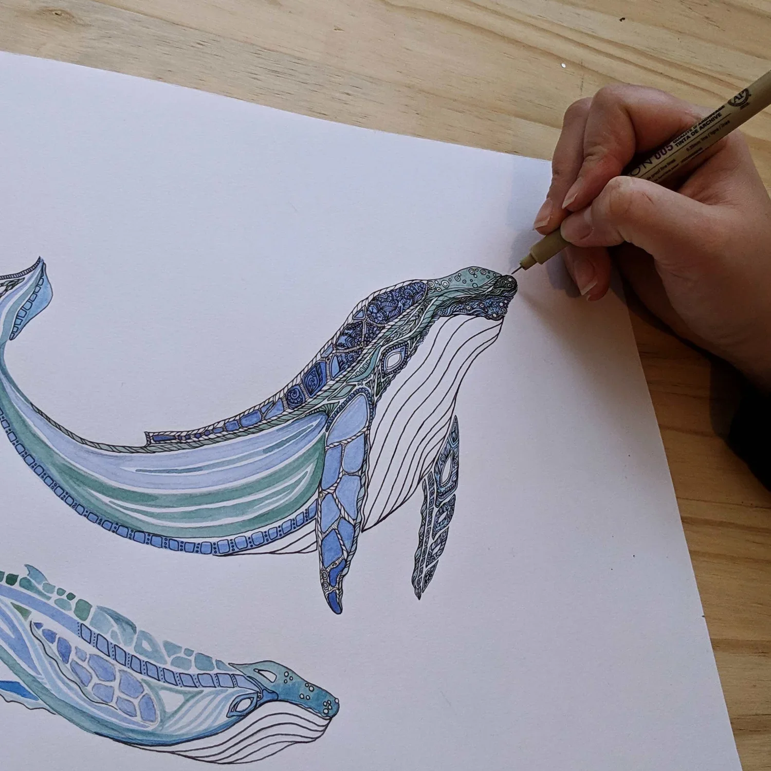 pen and ink art of whale