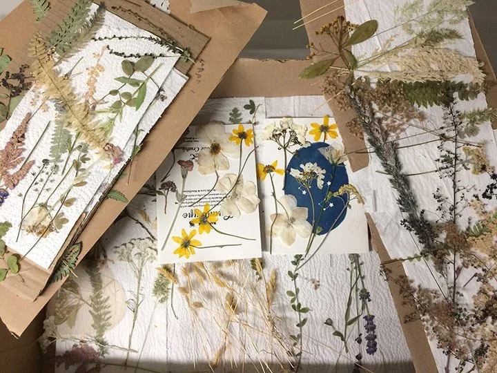 wild flowers for printing