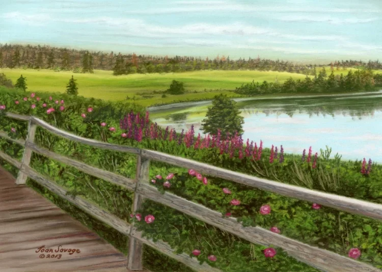 rose bushes along the board walk