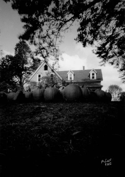 pinhole photography of pumpkins and house