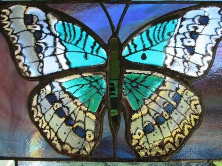 framed glass butterfly panel