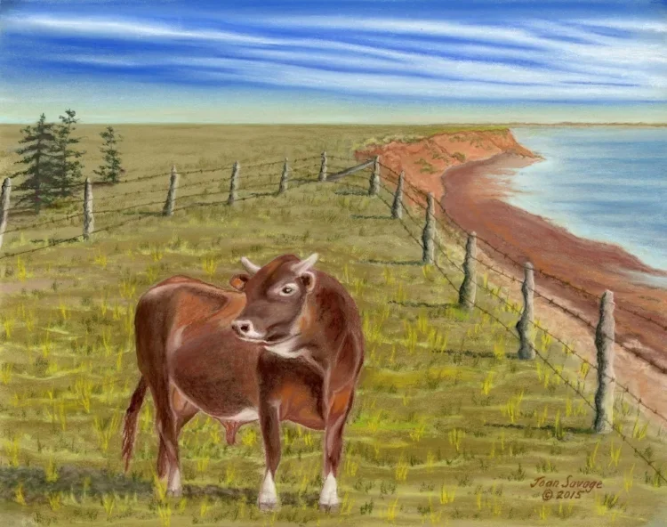 cow in the pasture