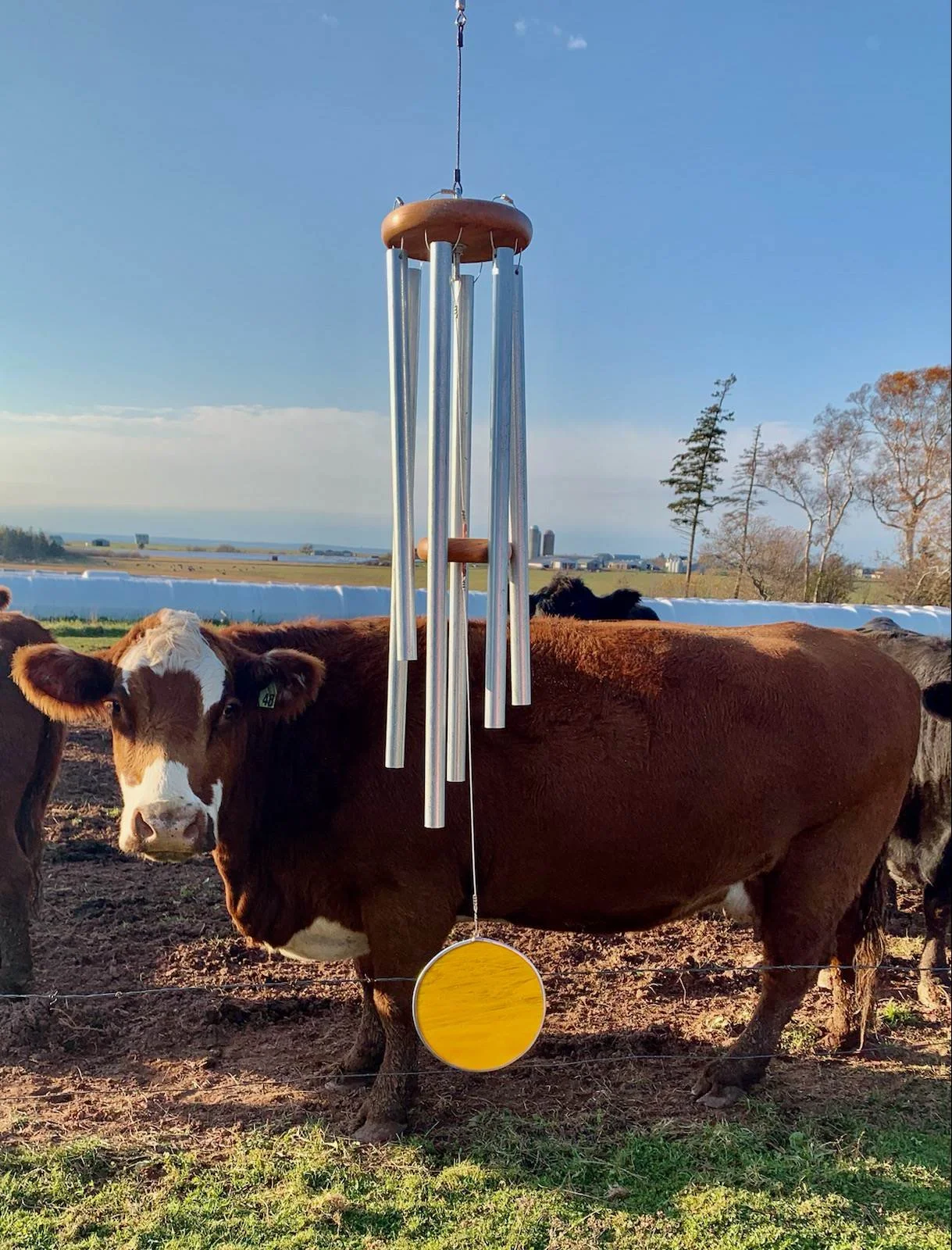 cow and island windchime