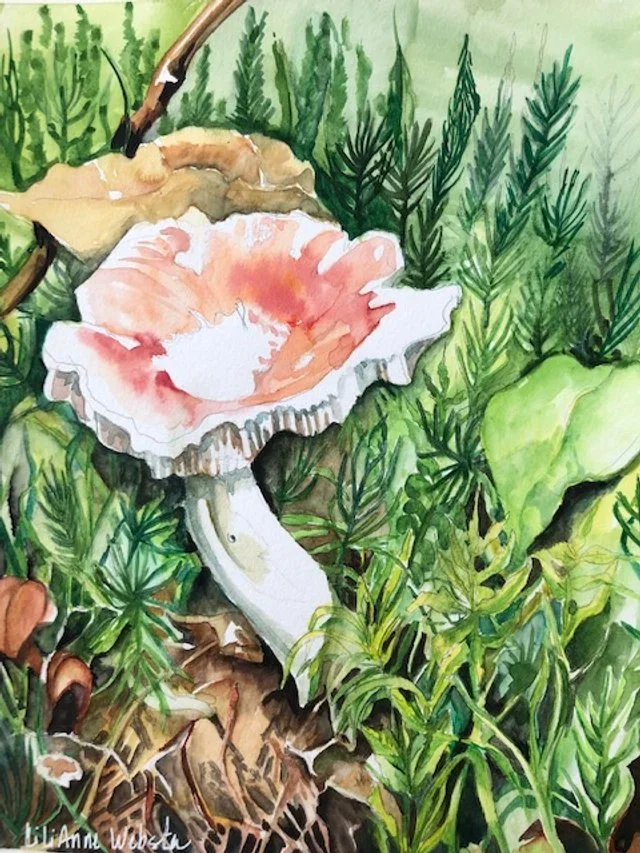 mushroom
