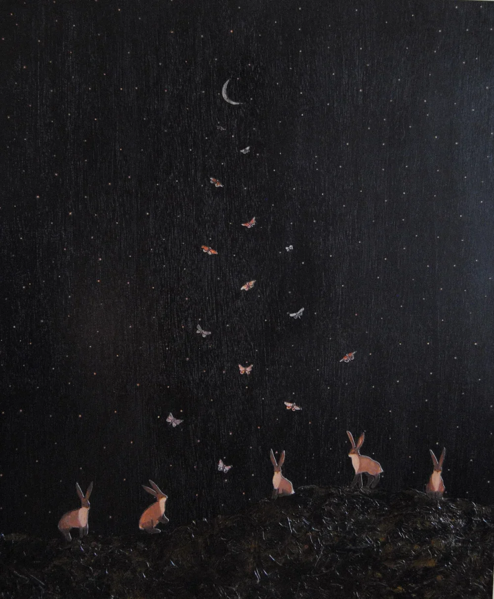 wild hares and moths