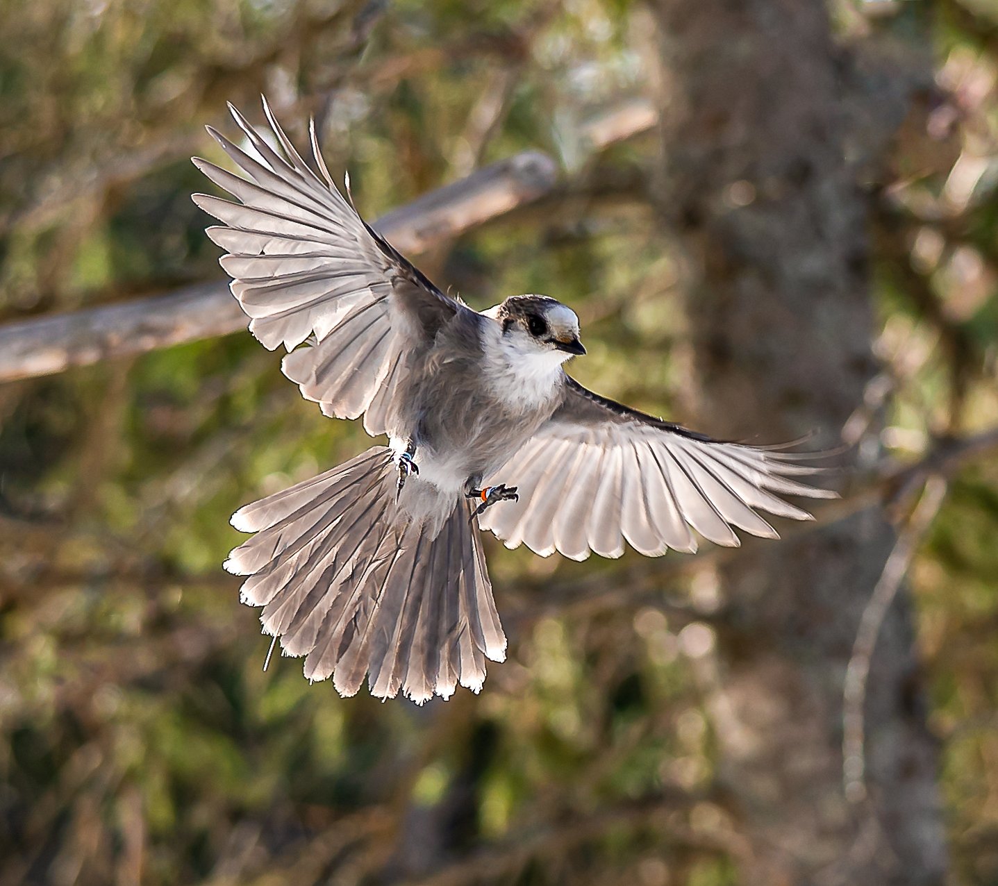 DSC02510-Edit.jpg