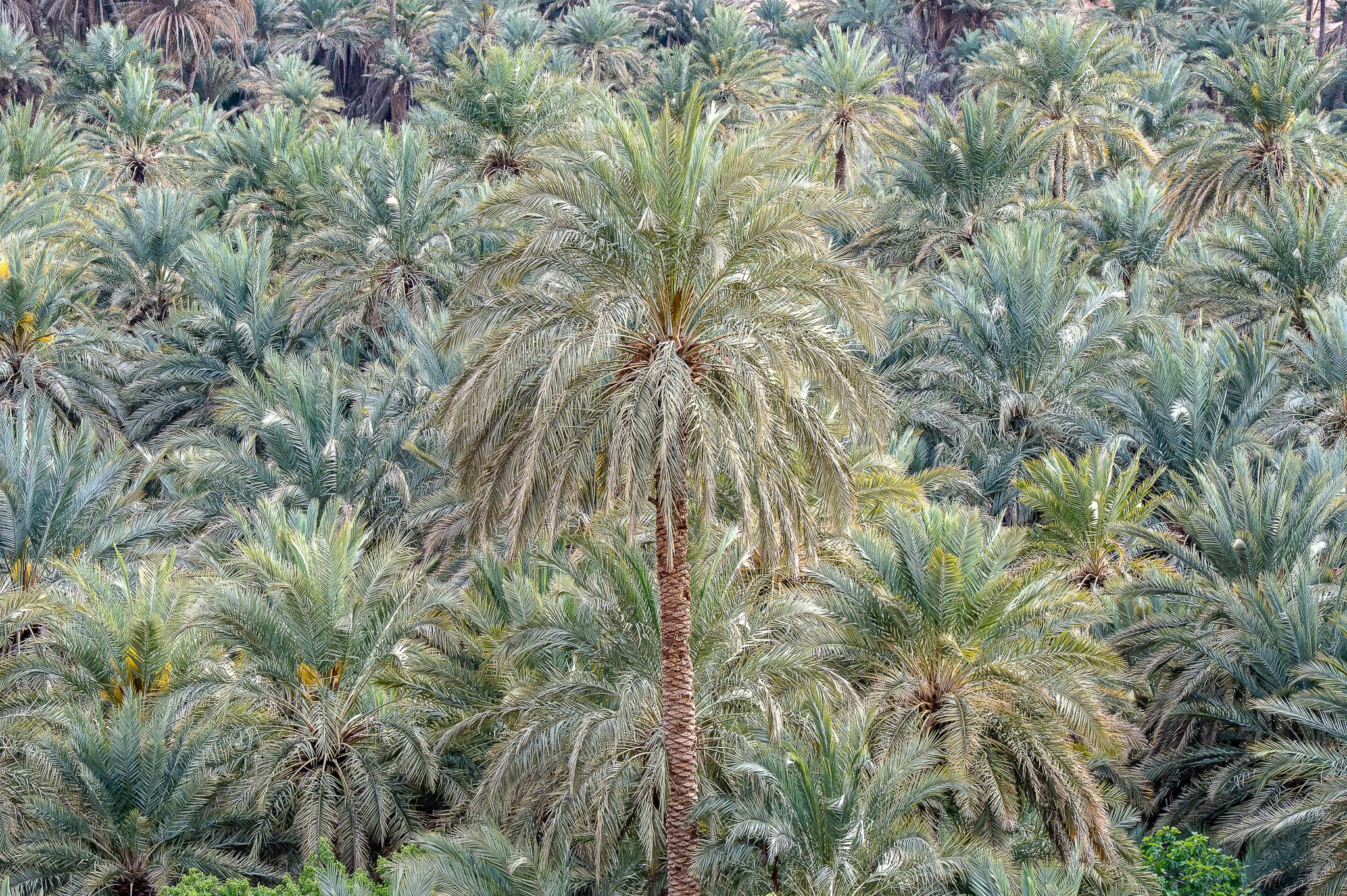DSC06800.jpg