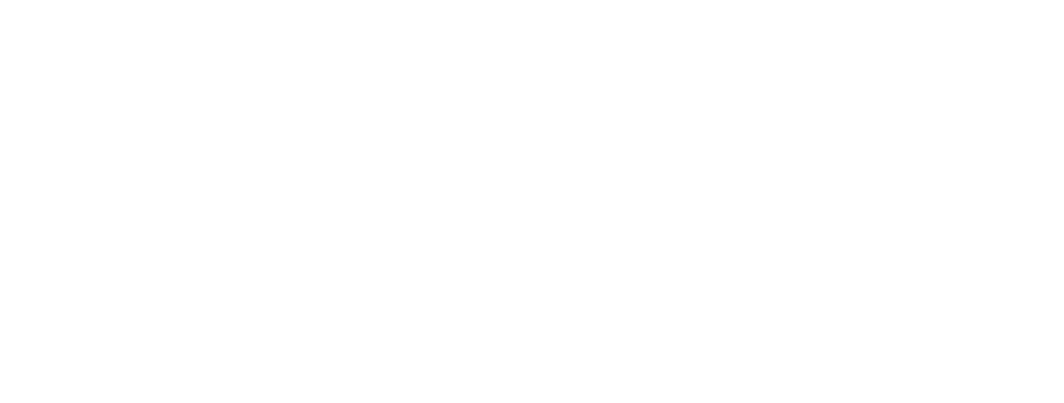 Brodie's Backyard