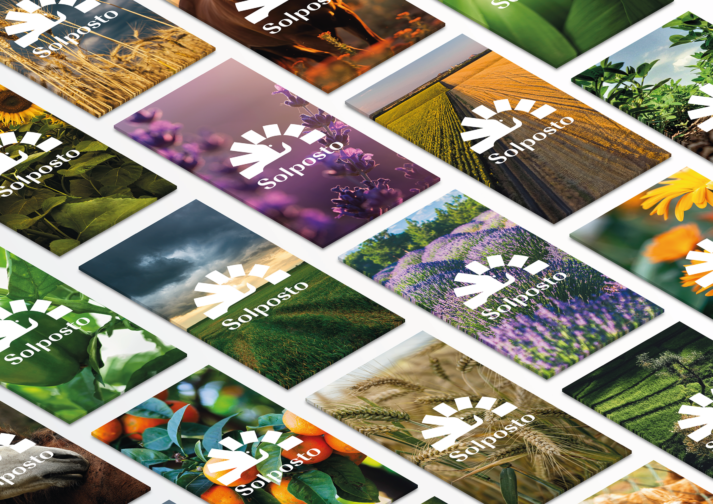 solposto_behance-09.png