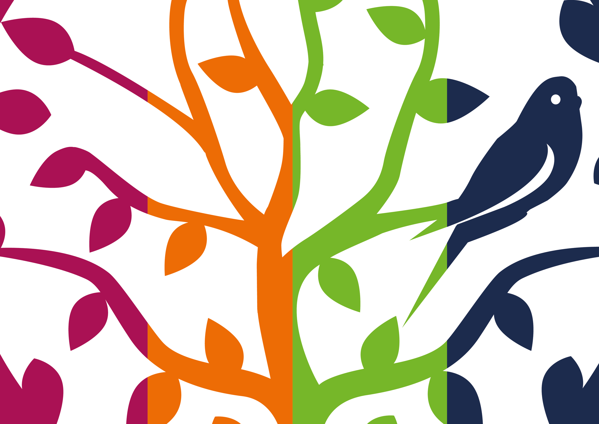 piriquita_behance [Recuperado]-02.png