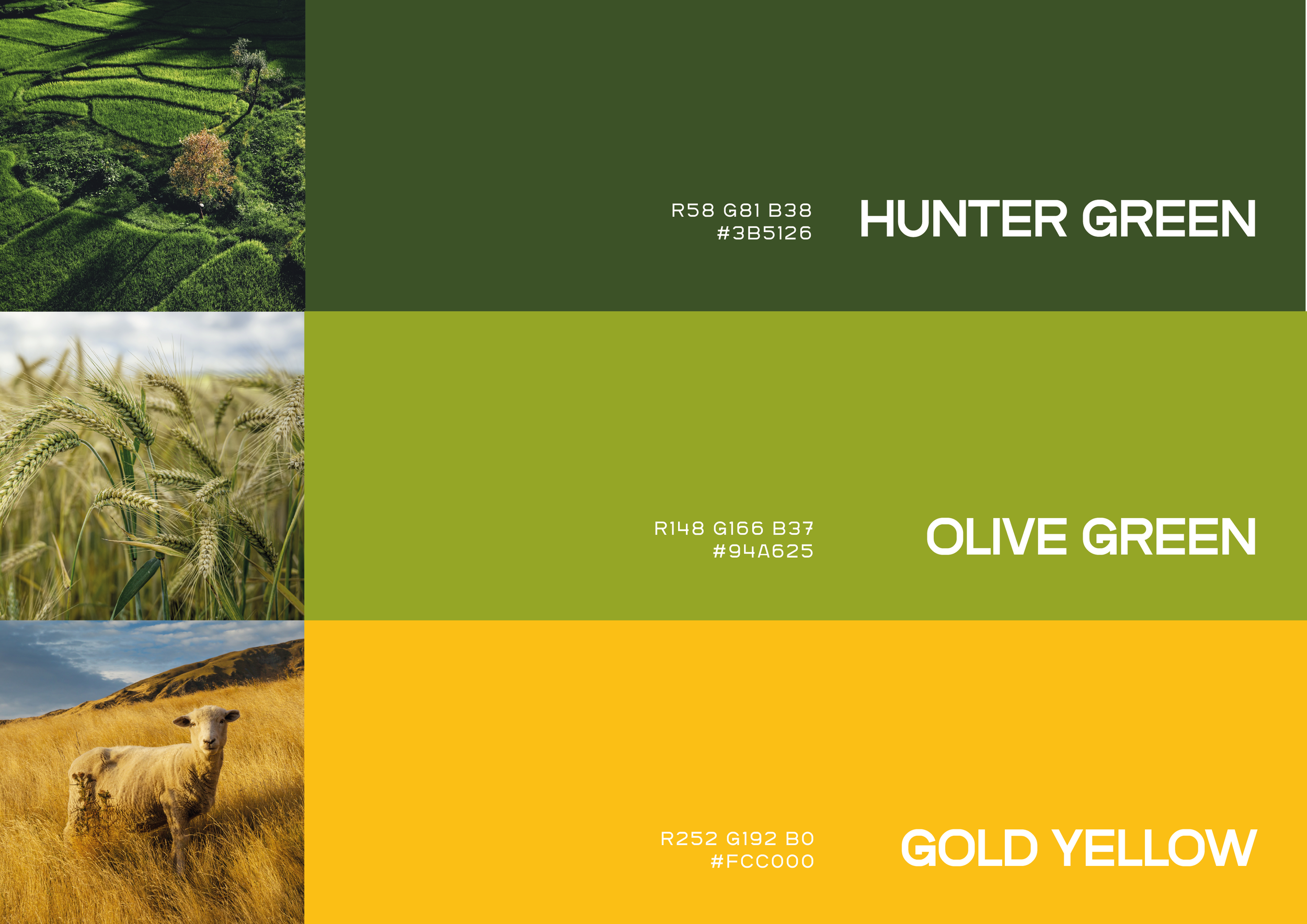 solposto_behance-03.png