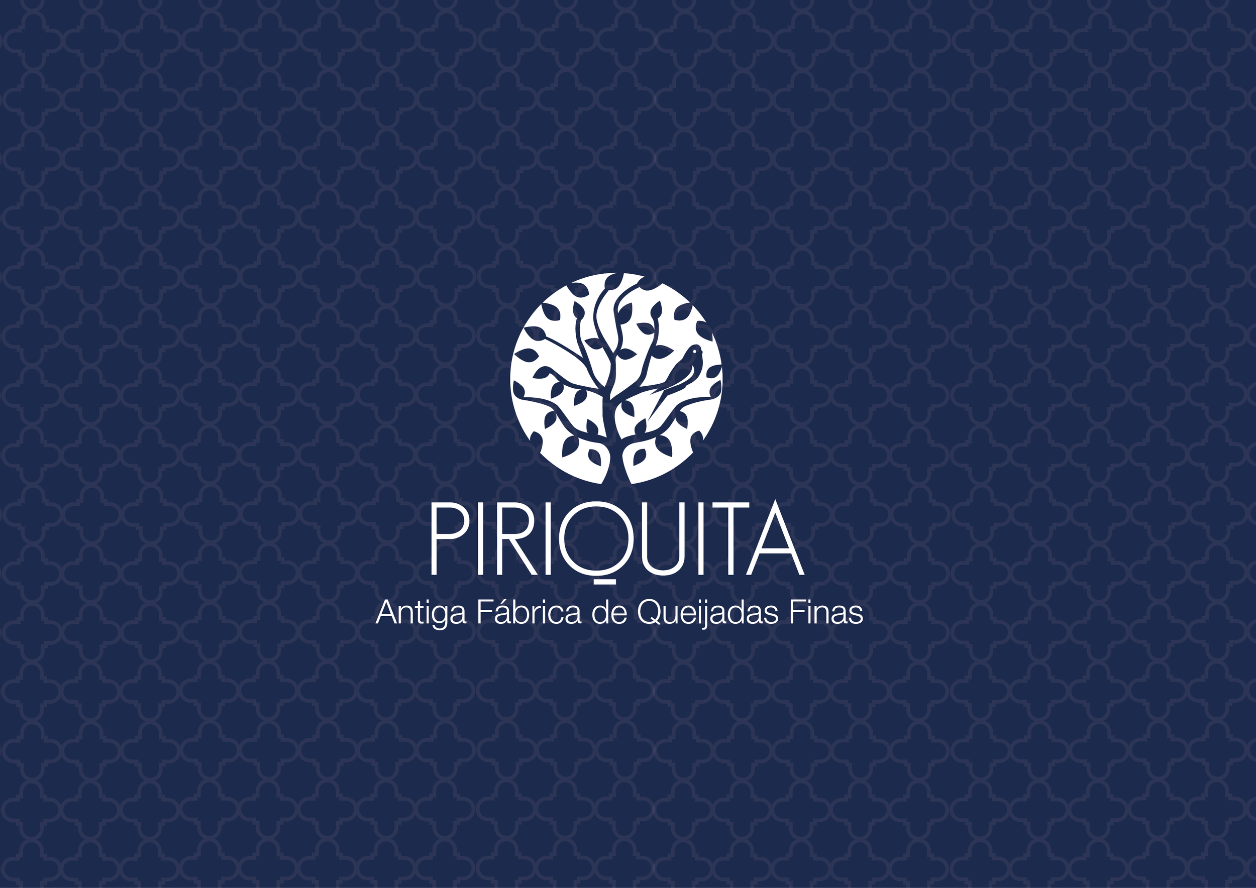piriquita_behance [Recuperado]-01.png