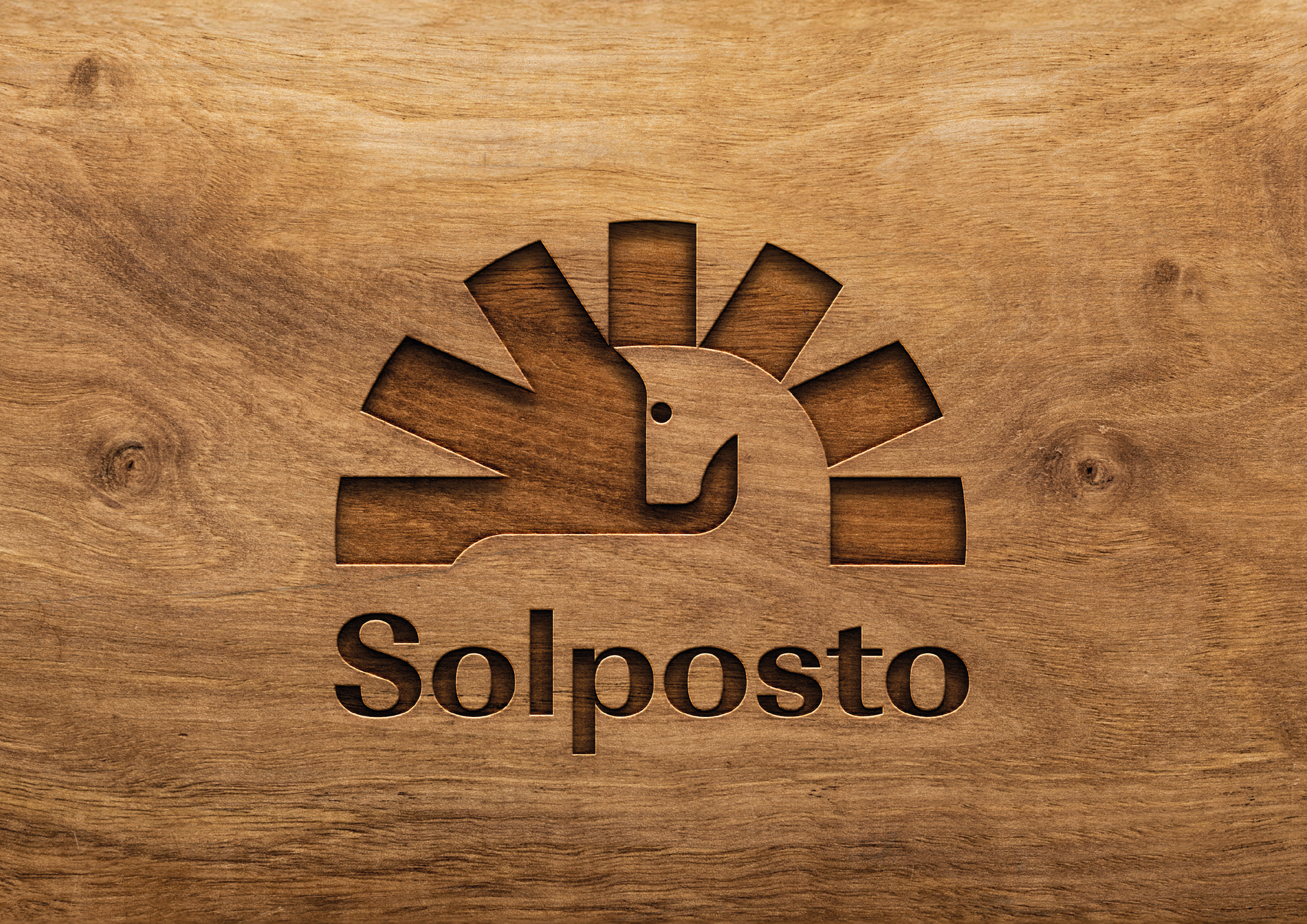 solposto_behance-05.png