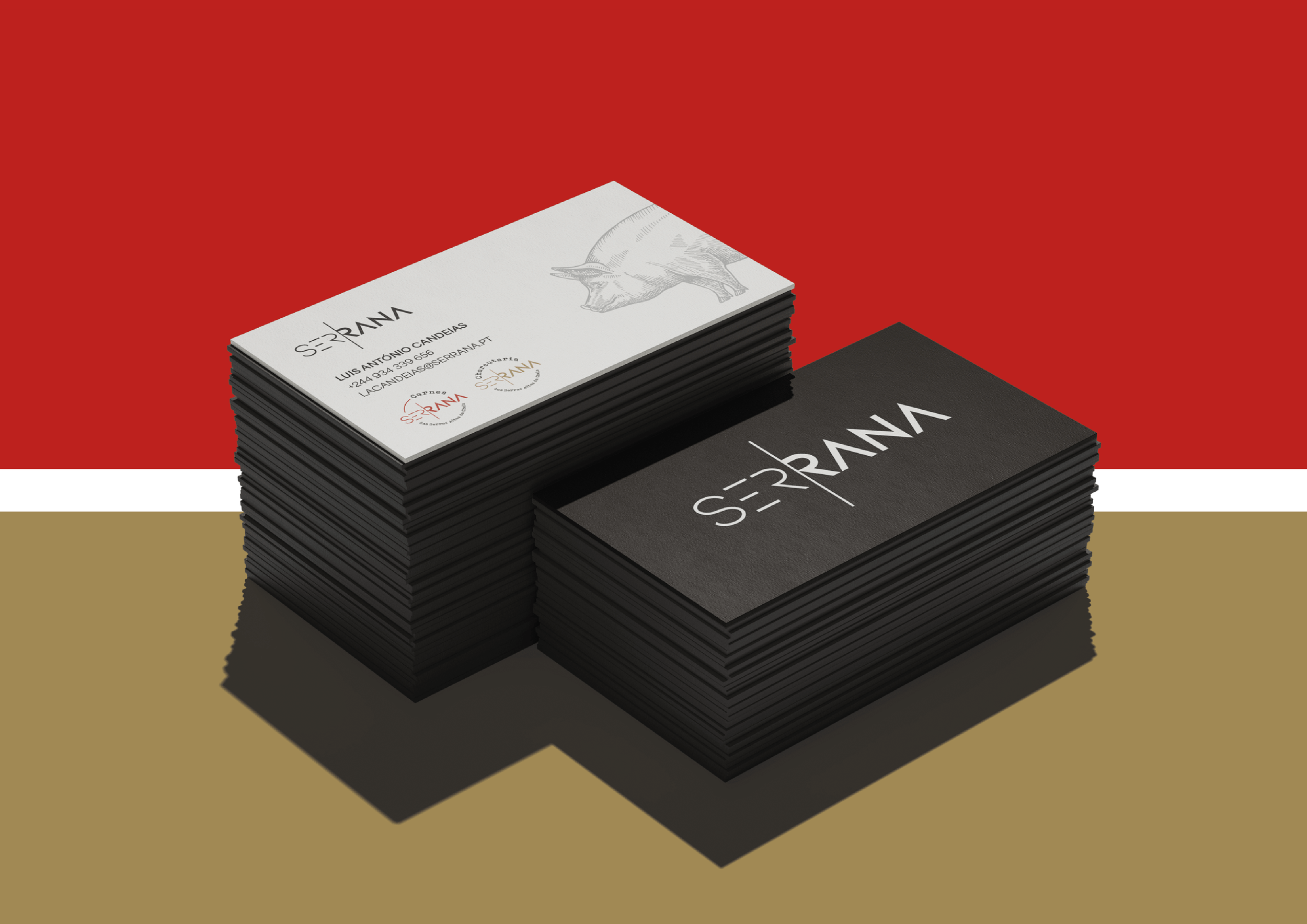 serrana_behance.png