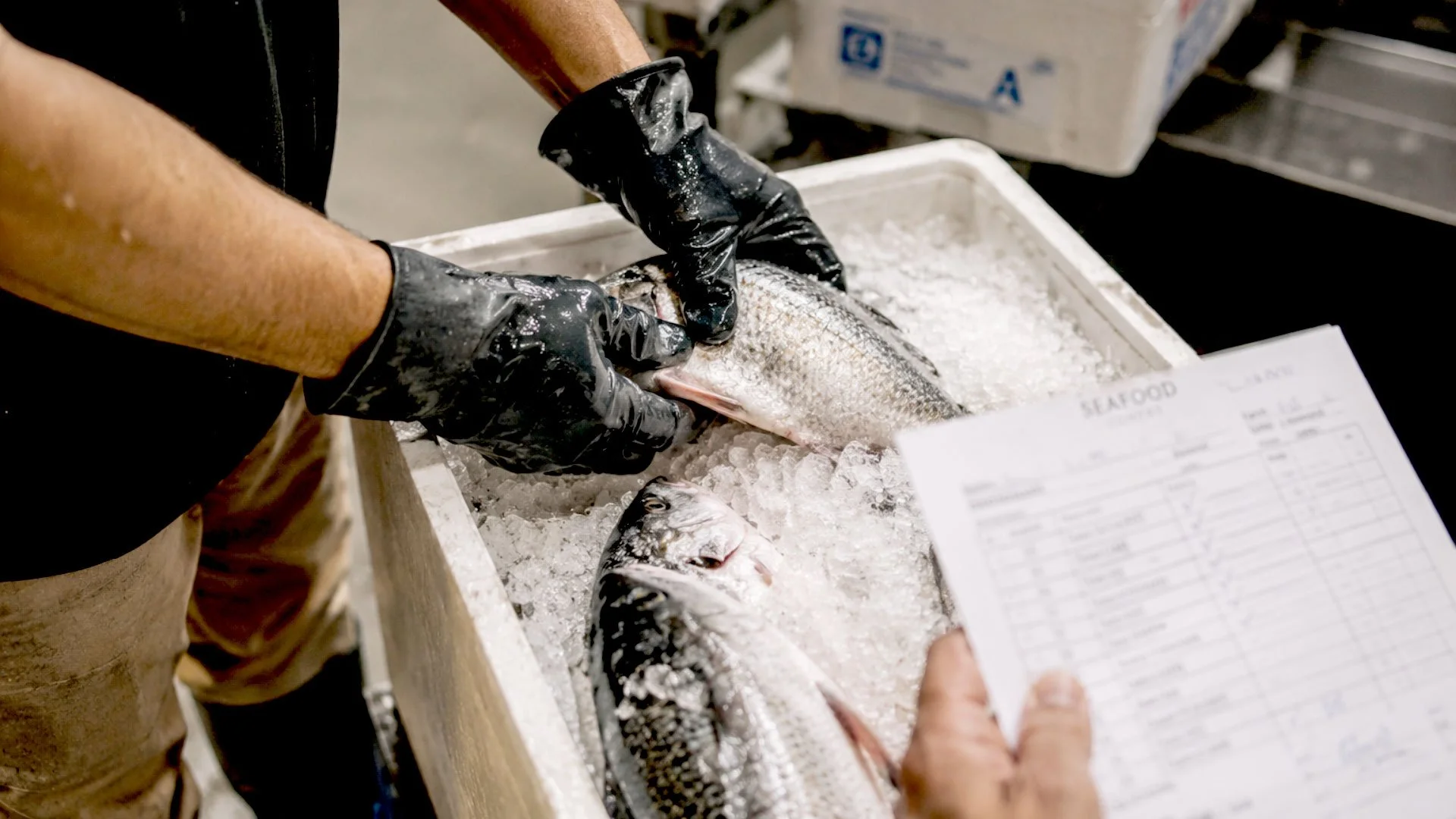 Person wearing black gloves handling fresh fish on ice at a seafood market, with a clipboard and a price list in the foreground.