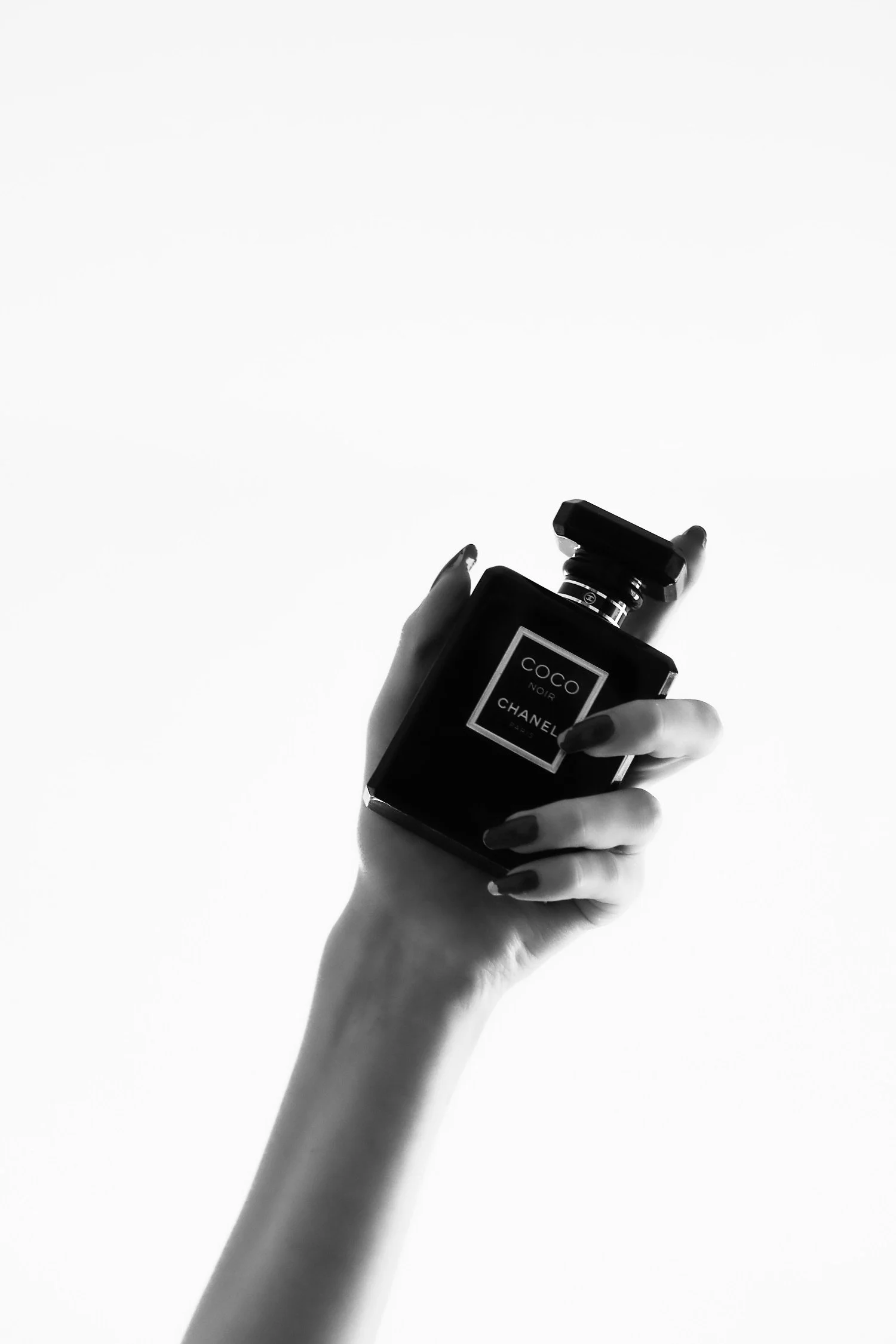 A black-and-white image of a hand holding a bottle of Chanel Coco Noir perfume.