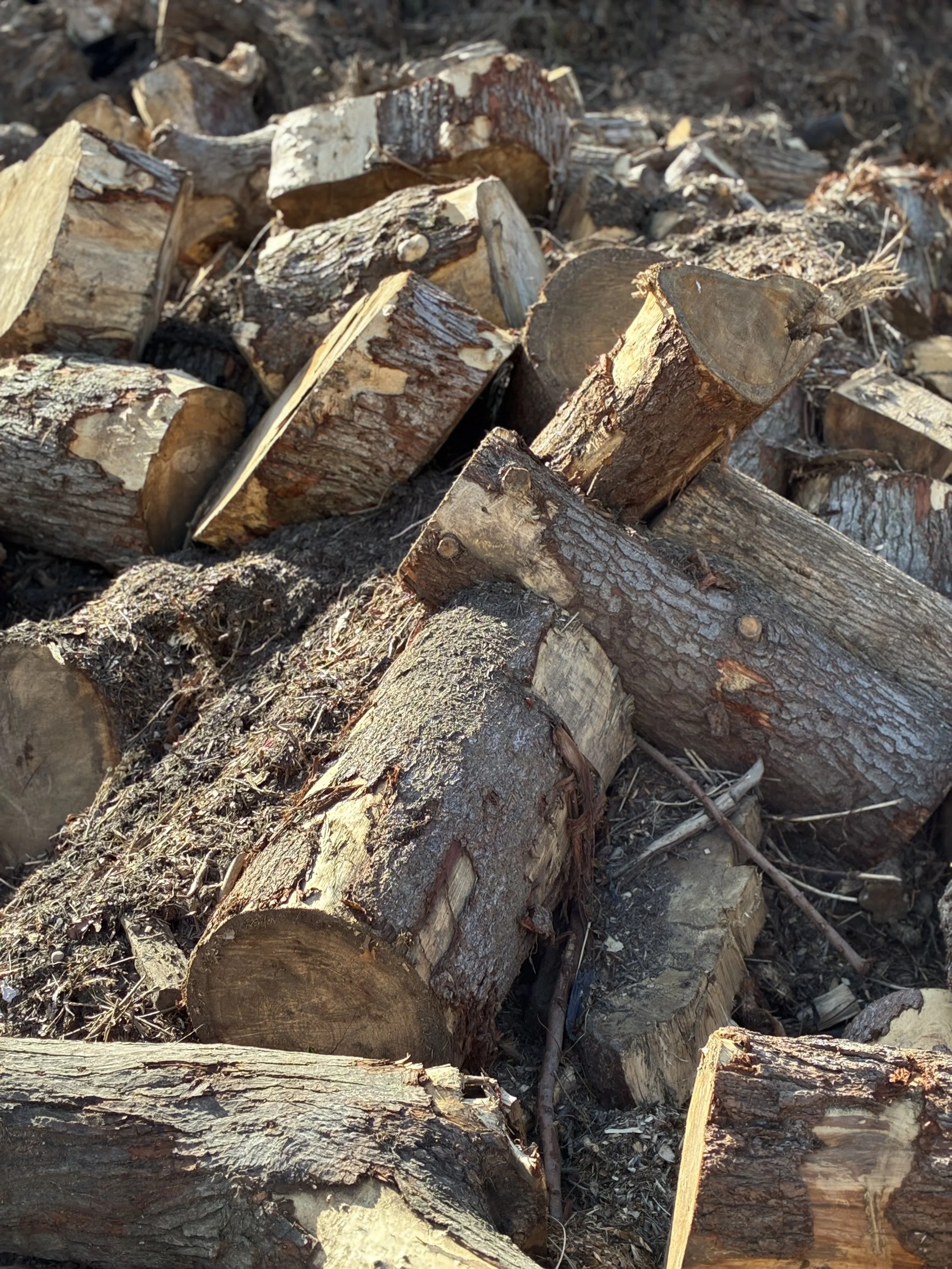Stumps