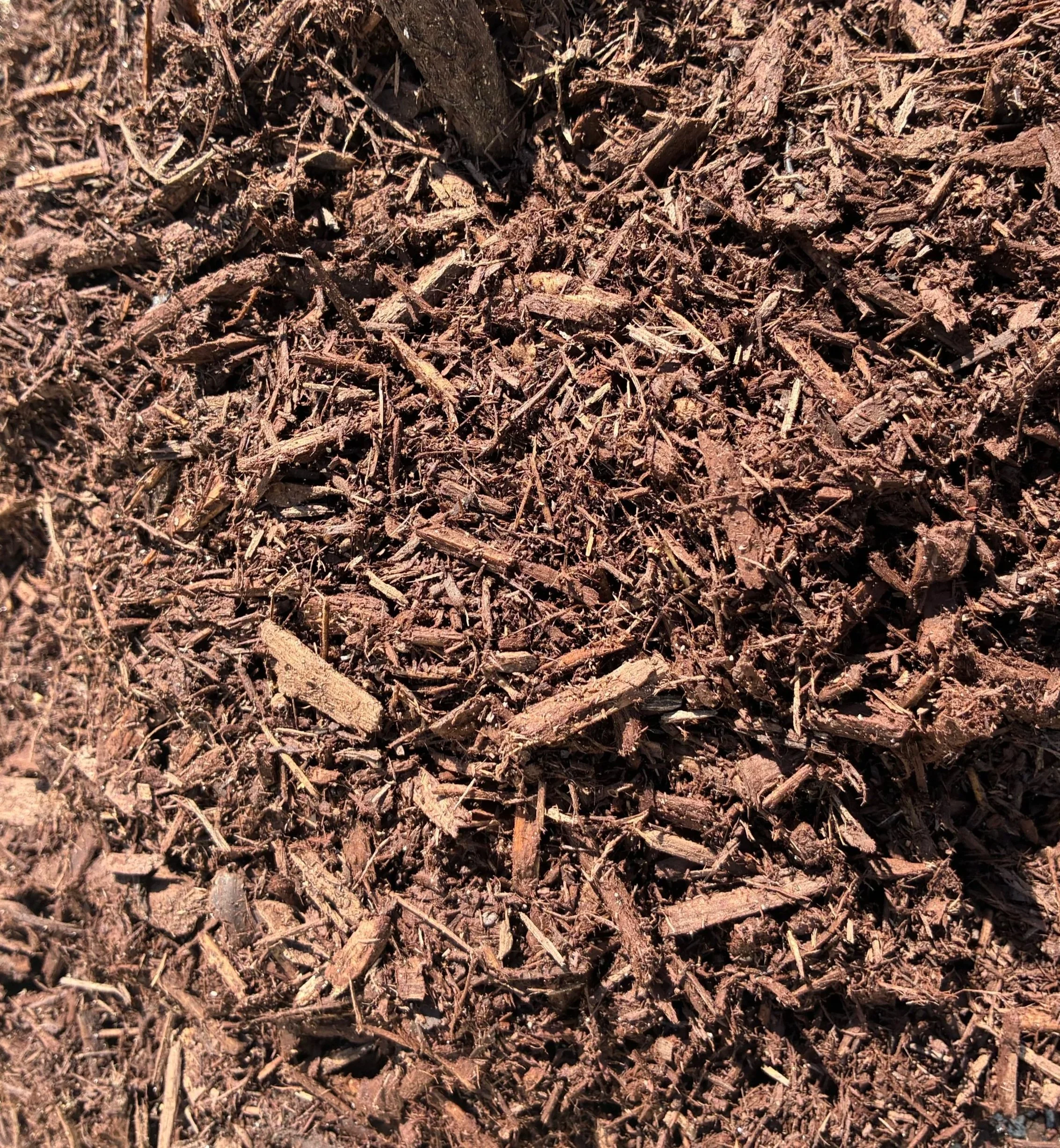 Close-up of dark brown wood mulch with small bark and twig pieces.