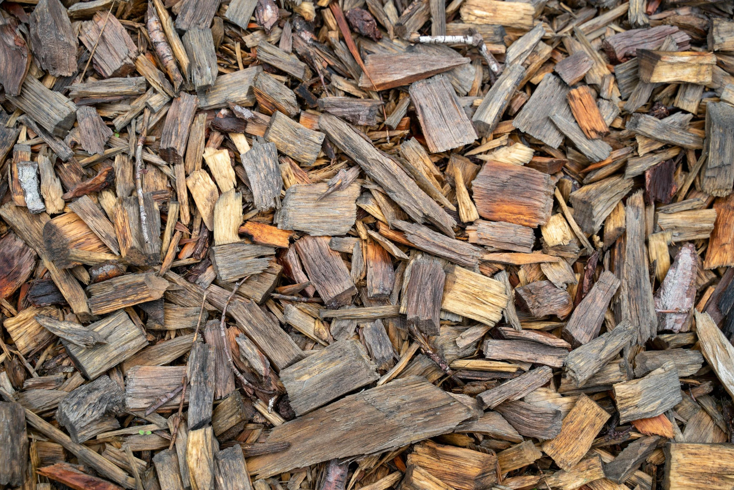 Wood Chips