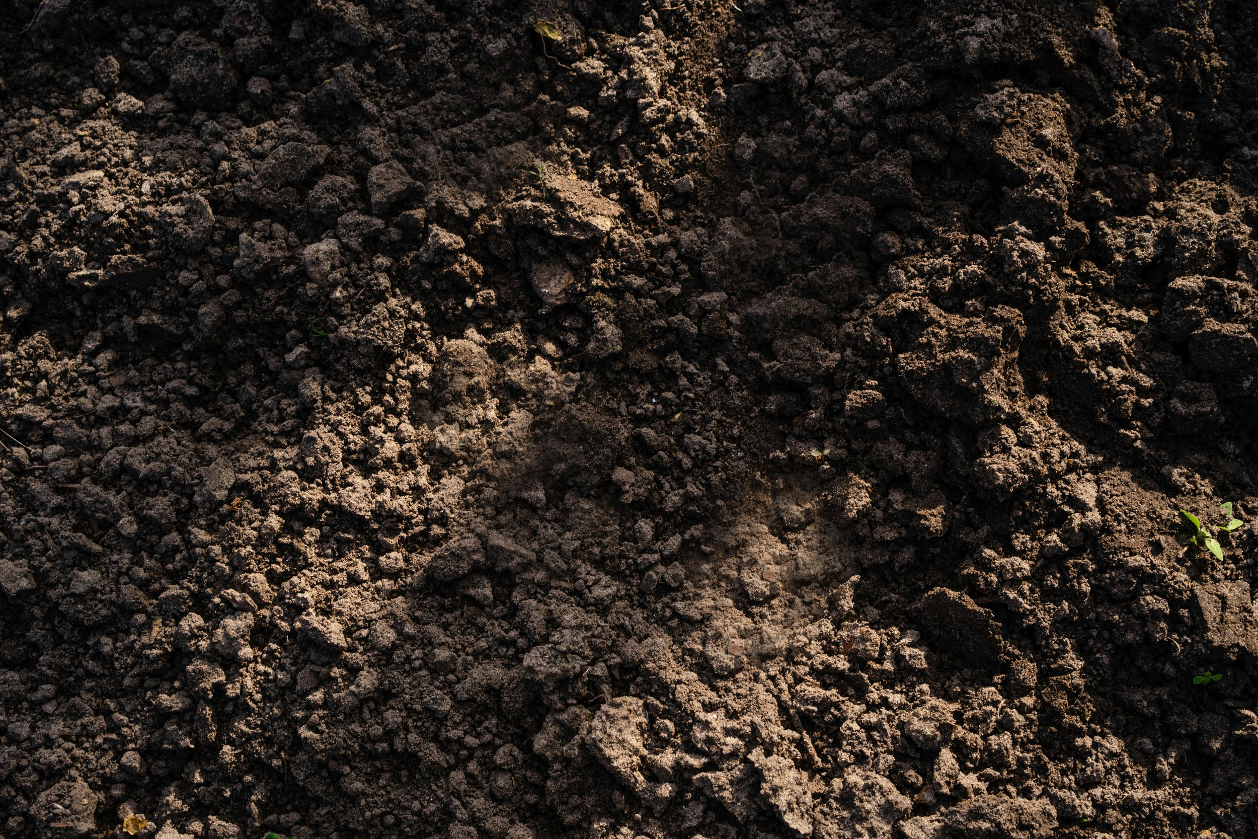 Topsoil can be recycled at Sandlot