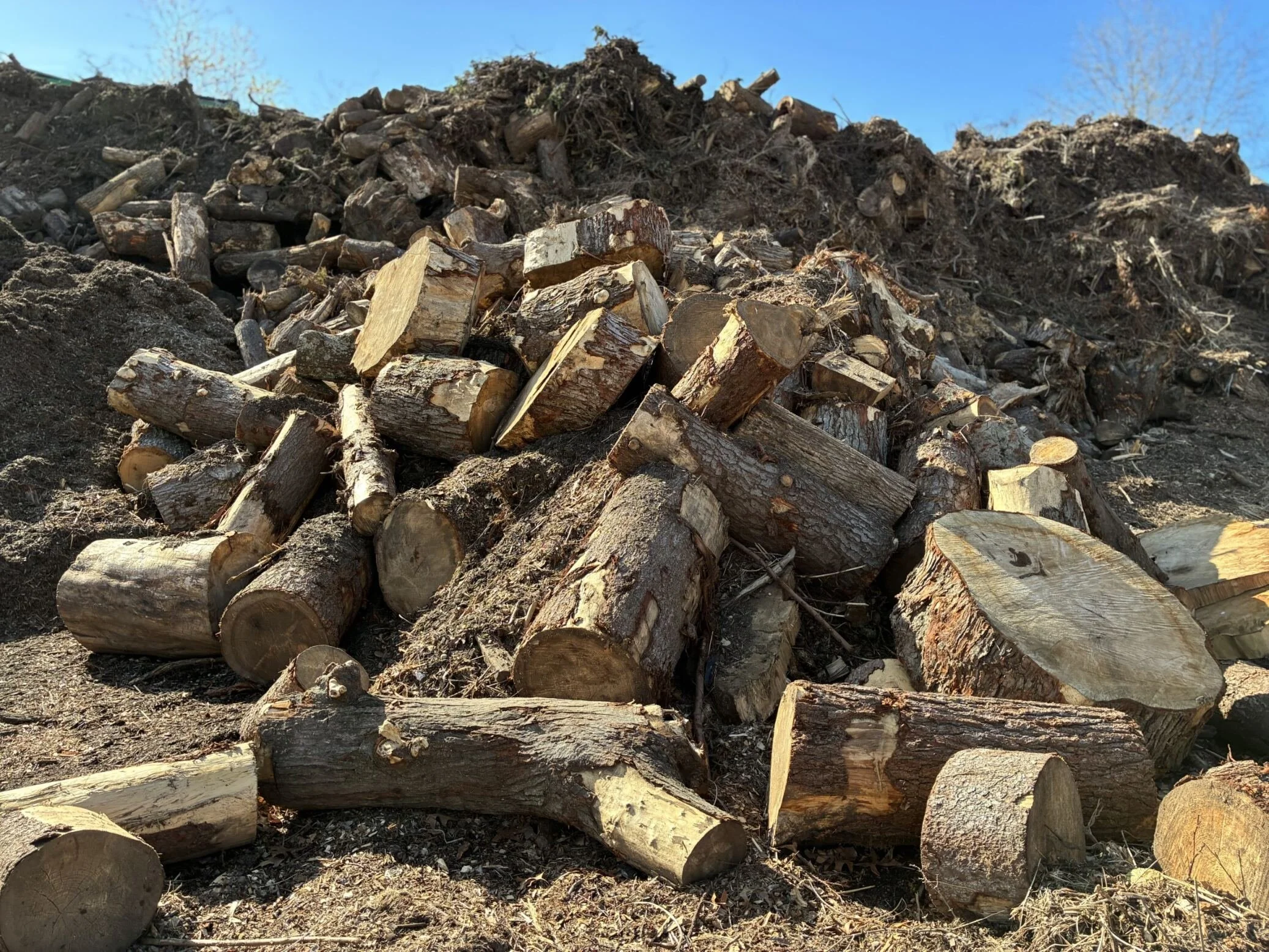 Logs can be recycled at Sandlot