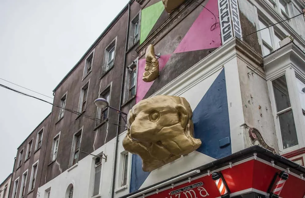The Facecup artwork Fiona Mulholland Cork, curator Sarah Searson