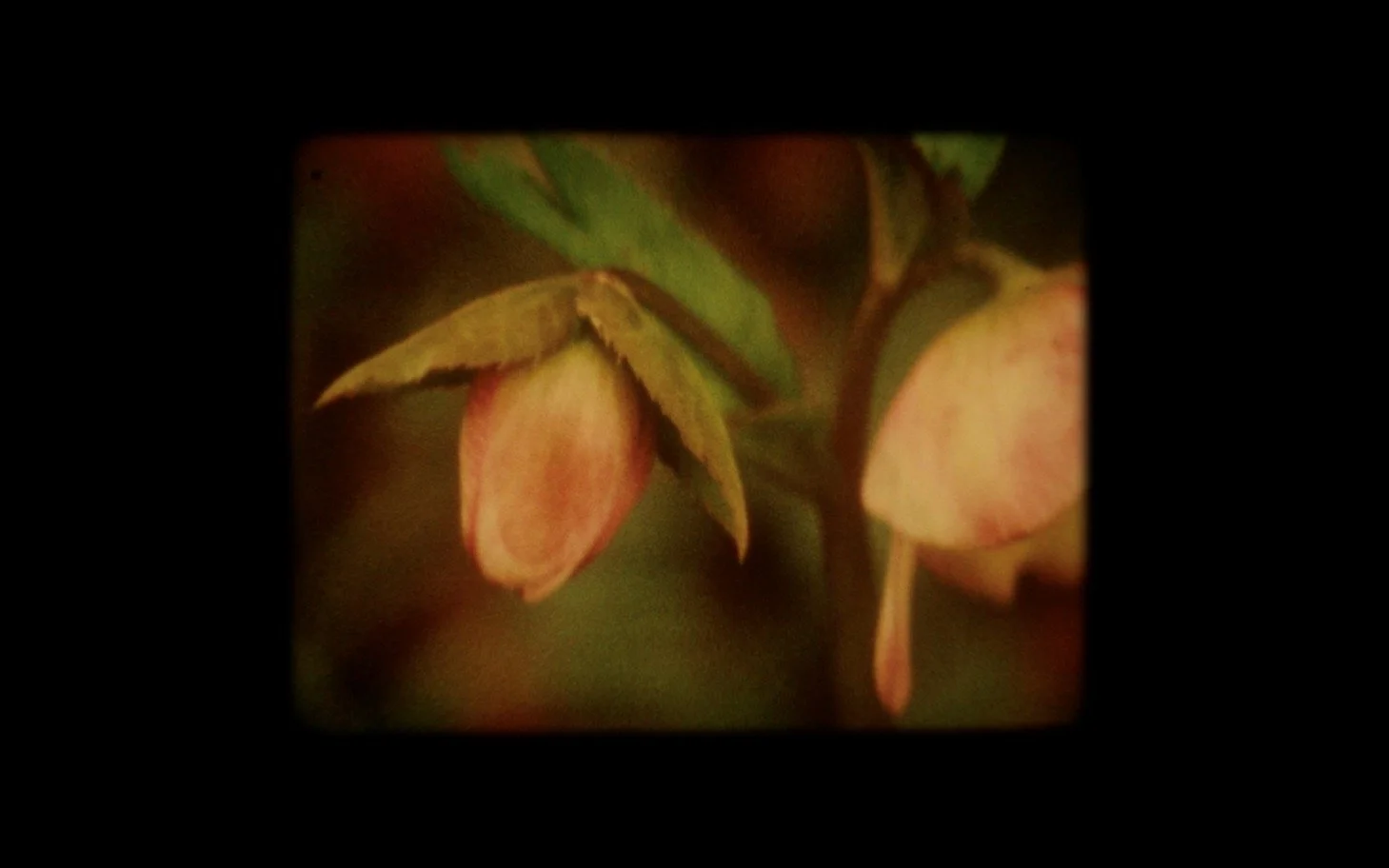 Image 41.jpeg