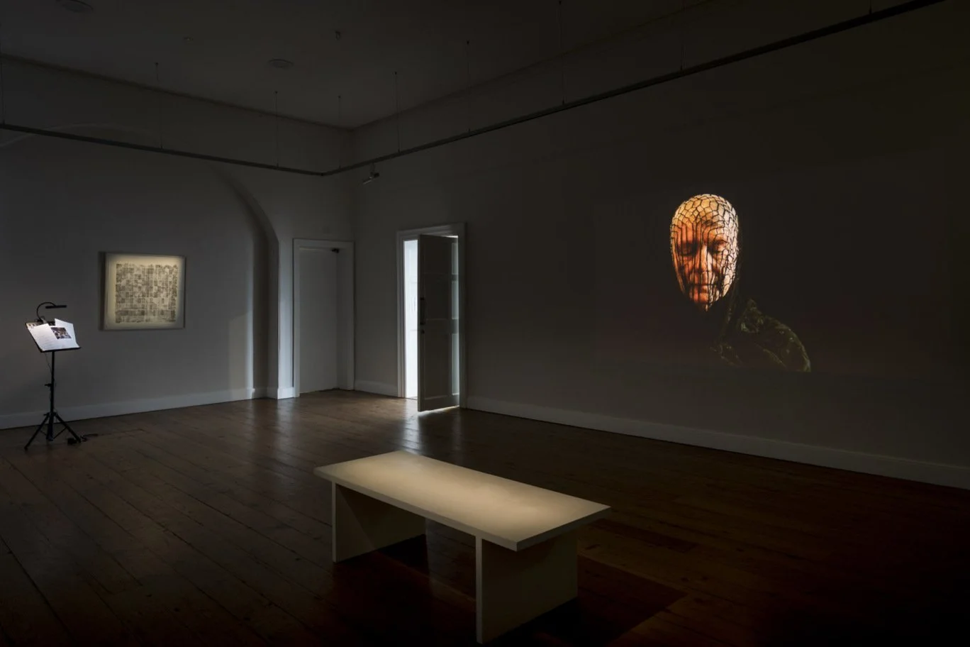 Na-Cailleacha-with-reference-to-Paula-Rego-Image1.jpg