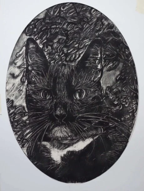 Black-cat-2-Gary-Coyle.jpg