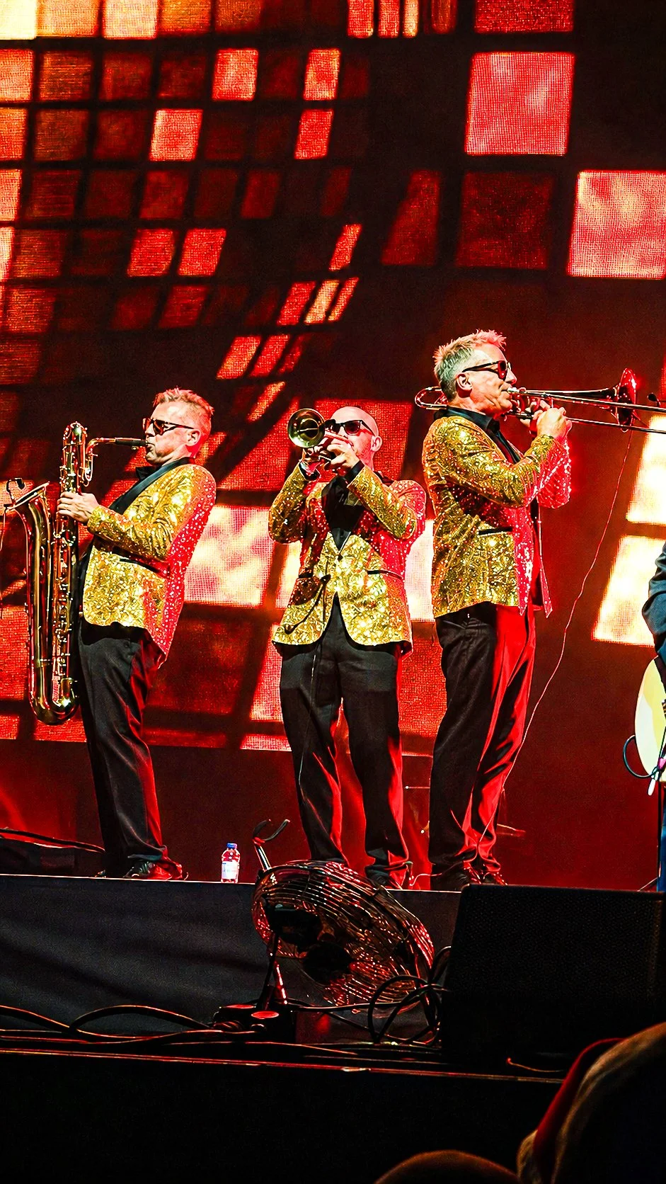 Madness-afas (7).jpg