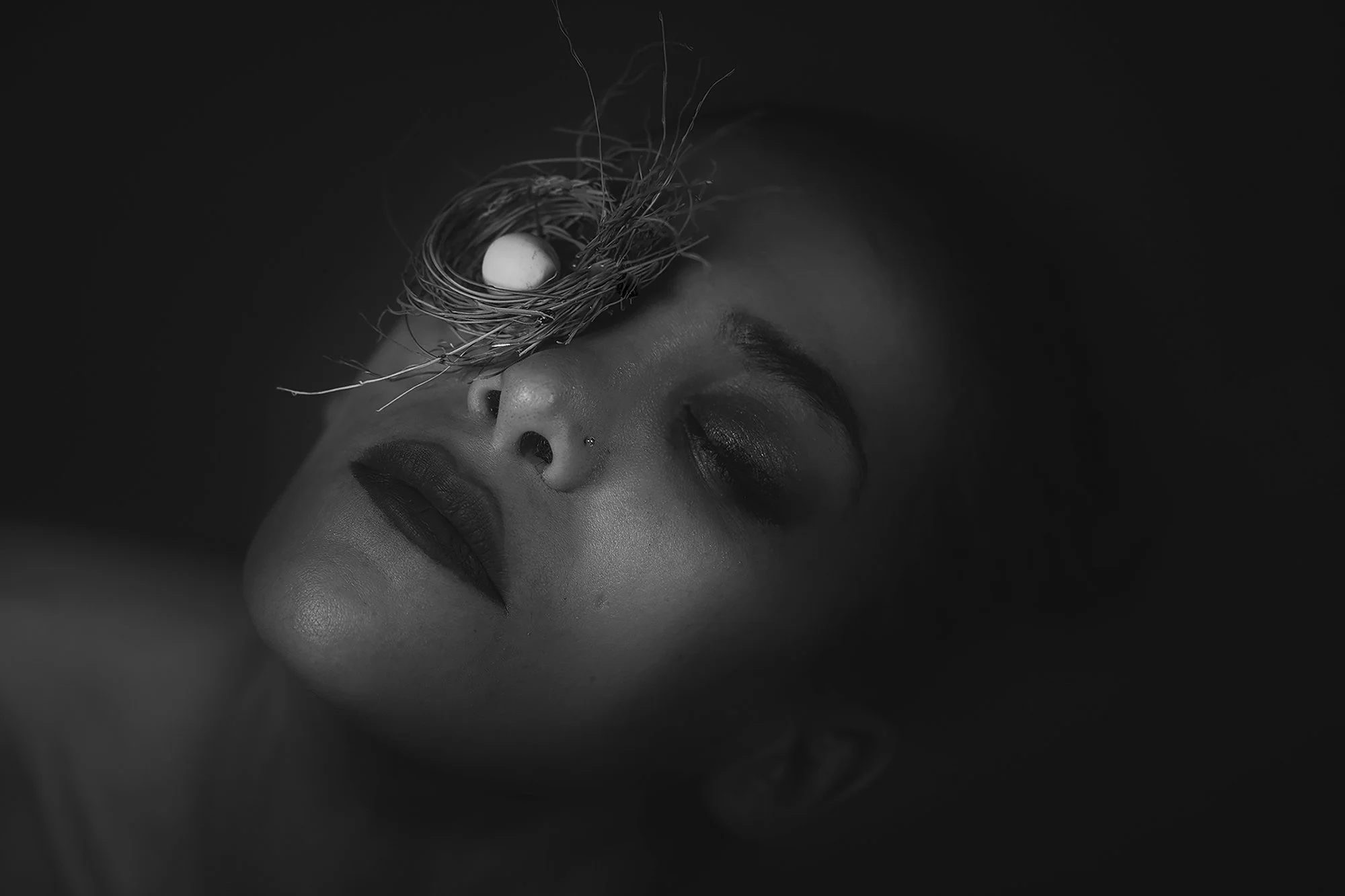 Sina Khanbabaei - The Nest - Iran