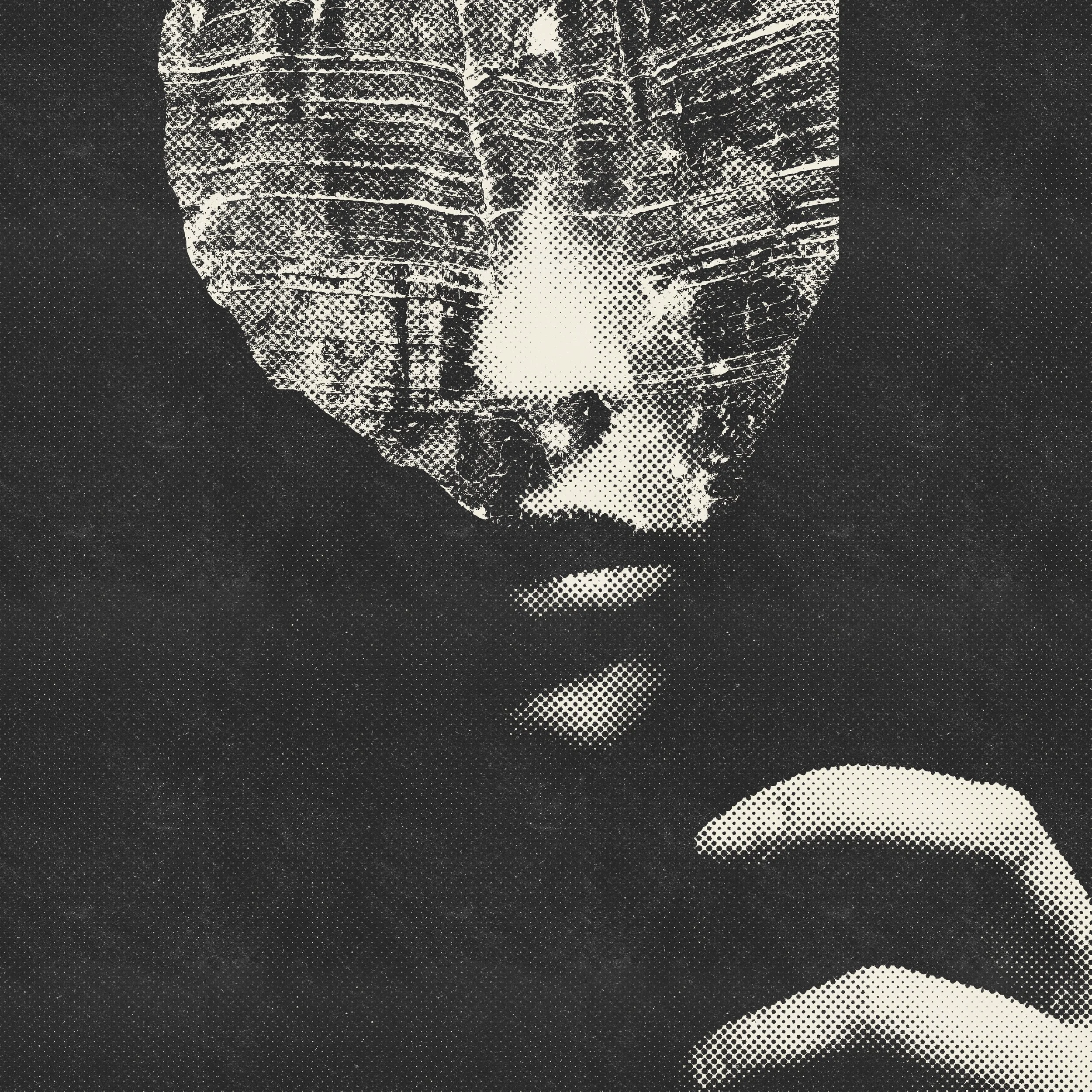 Abstract monochrome portrait partially hidden behind a patterned screen – Rytis Bernot