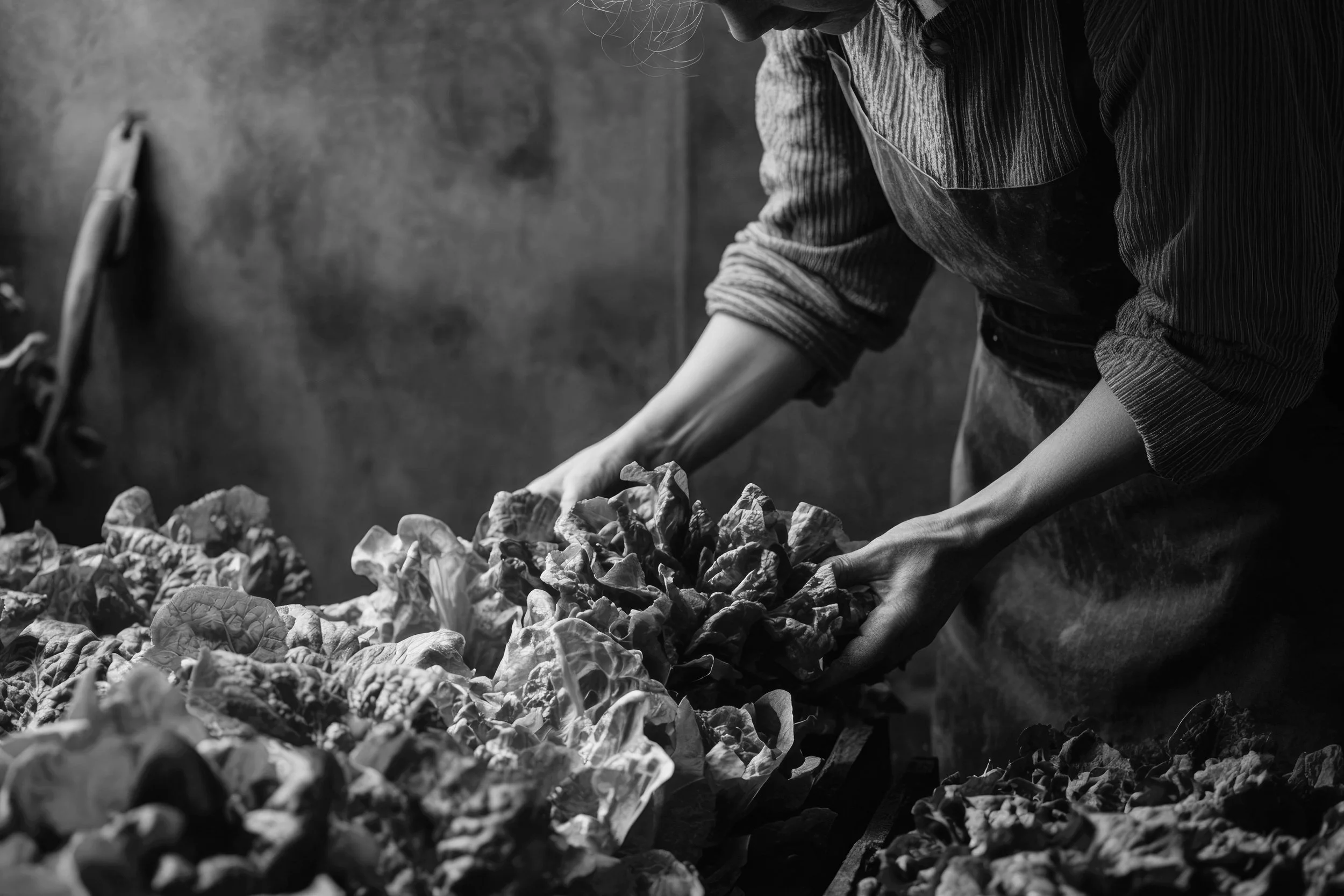 Monochrome image representing dedication, authorship and the process behind photographic work.