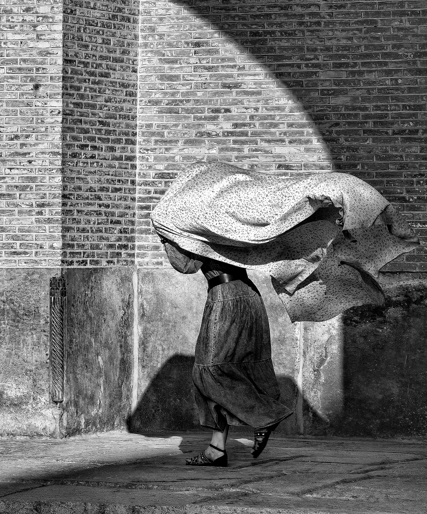Farid Azadi - Whispering Gale - Iran