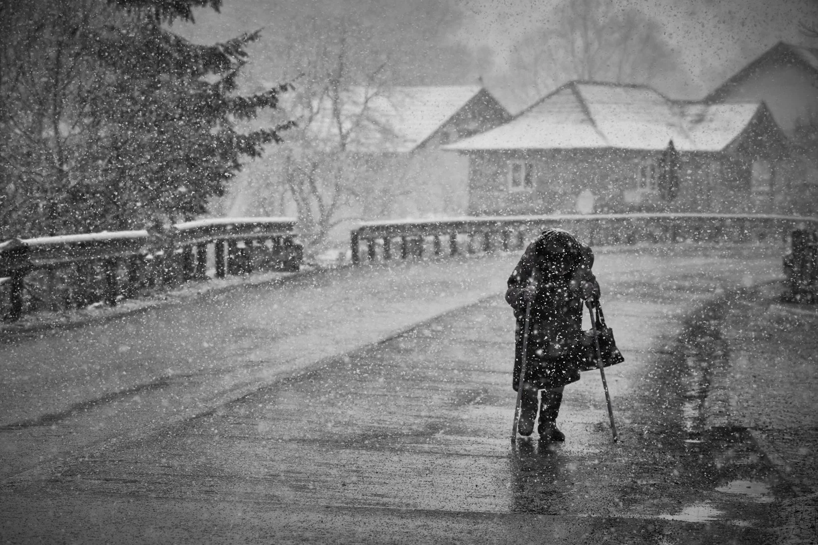Marius Burcea - Old Age - Romania