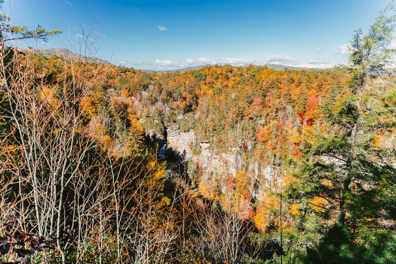 Linville-26.jpg
