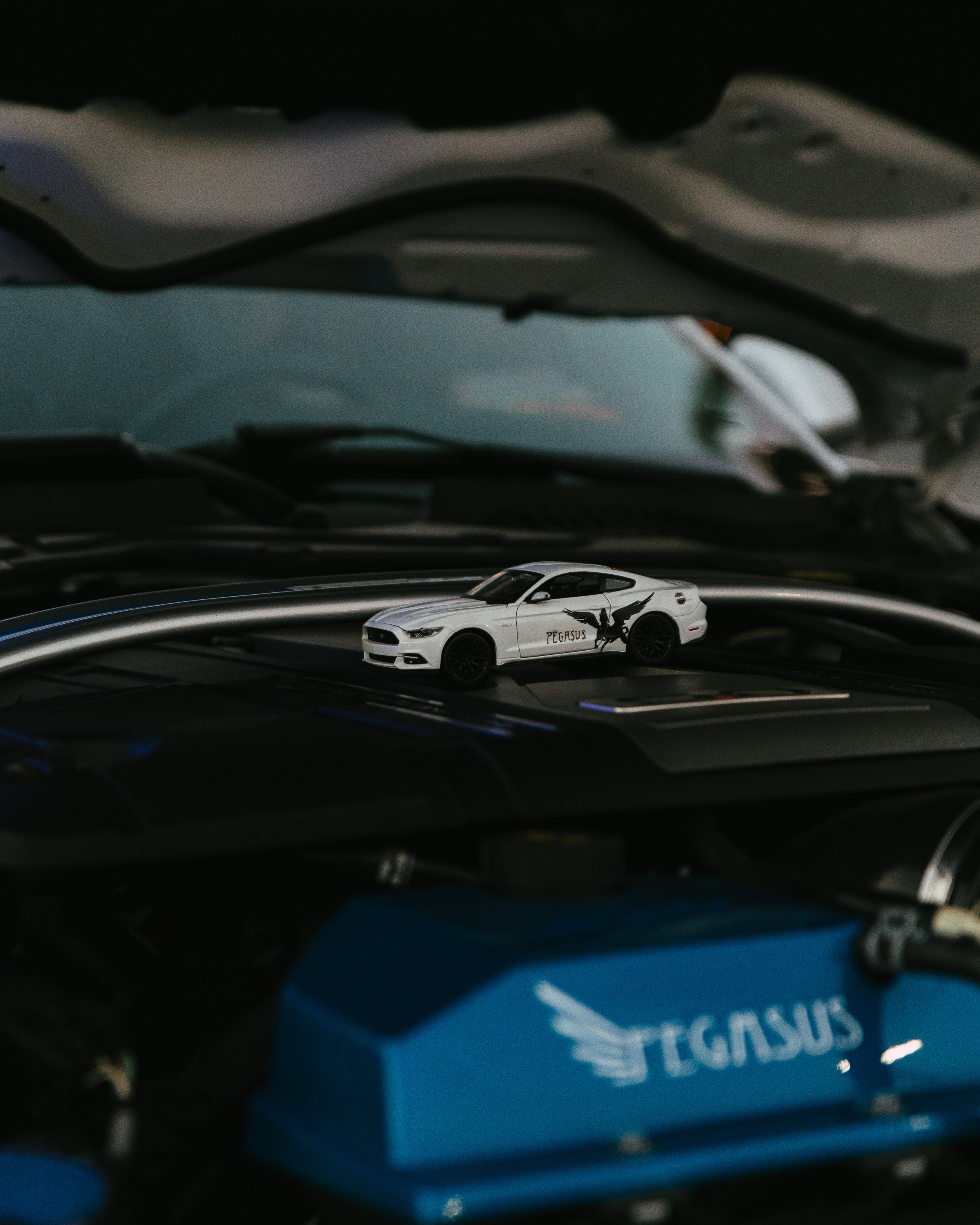 CarMeet-23.jpg