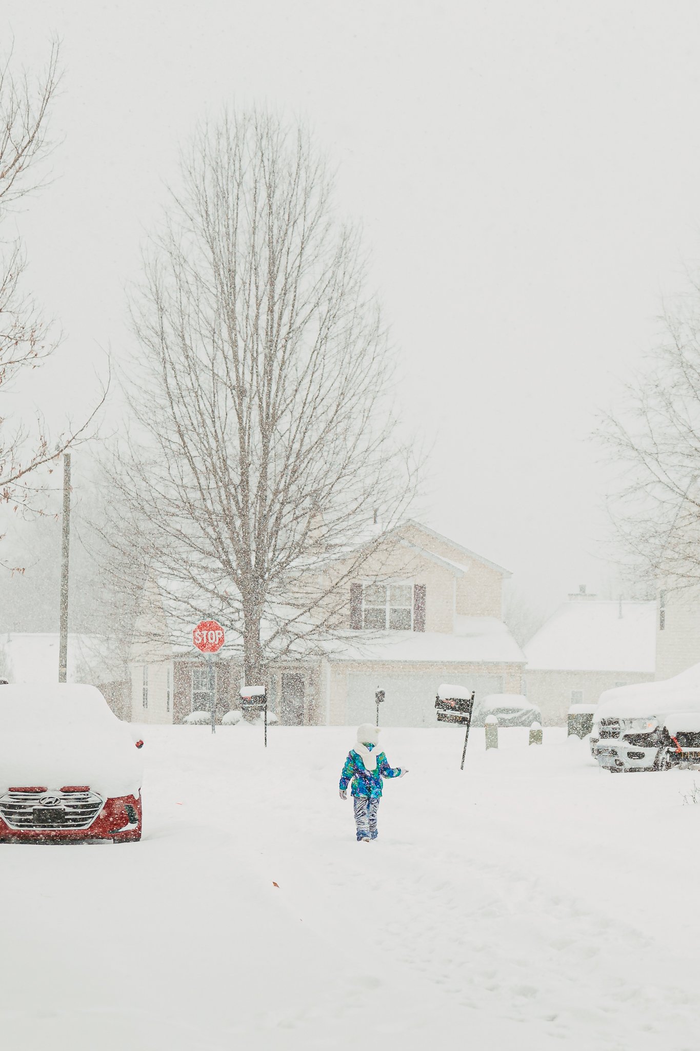 Snow-14.jpg