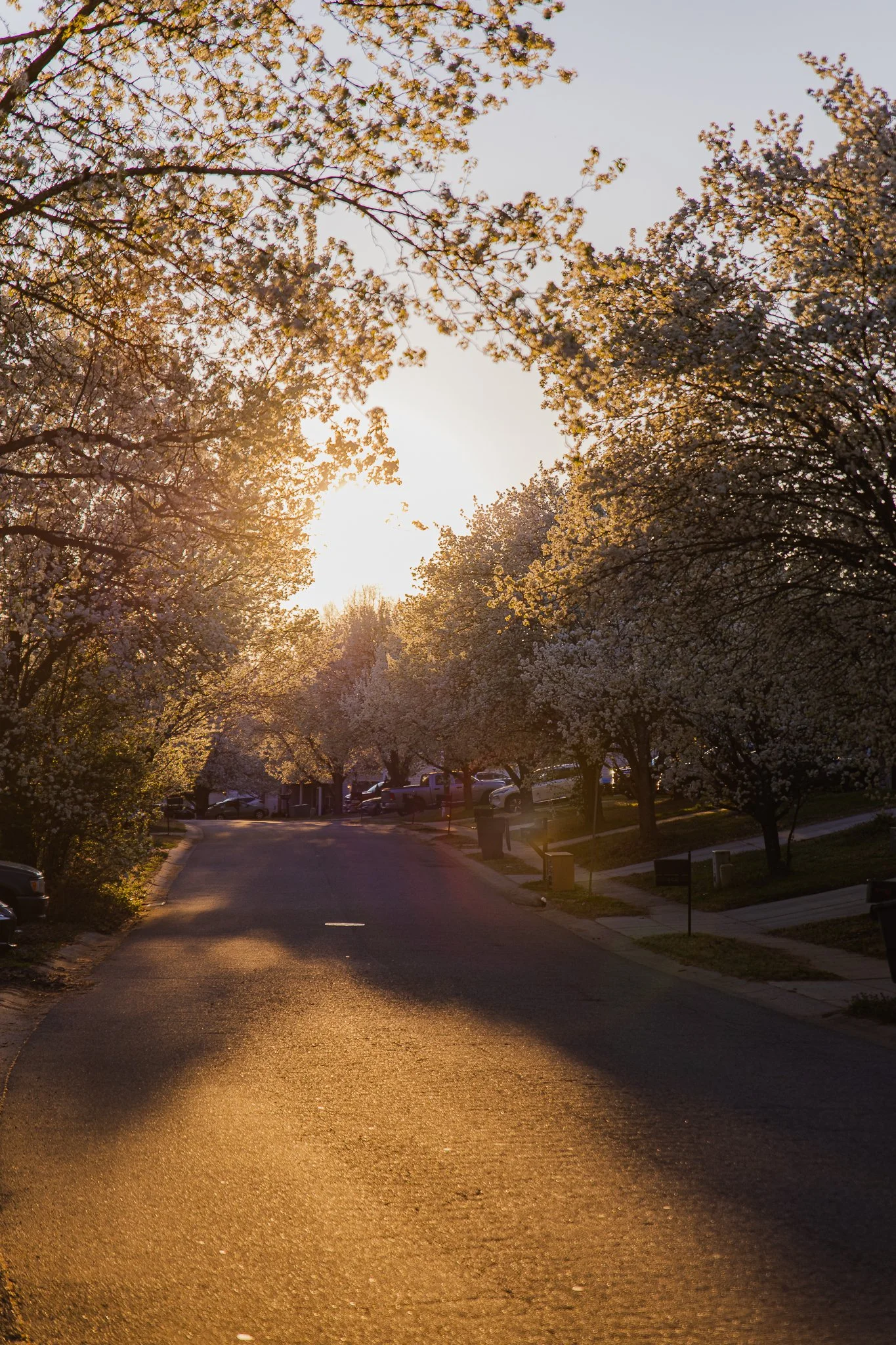 spring-2.jpg