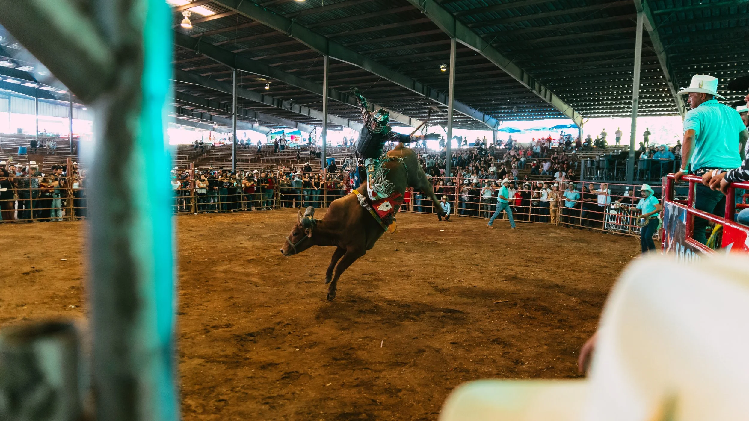 Rodeo-4.jpg
