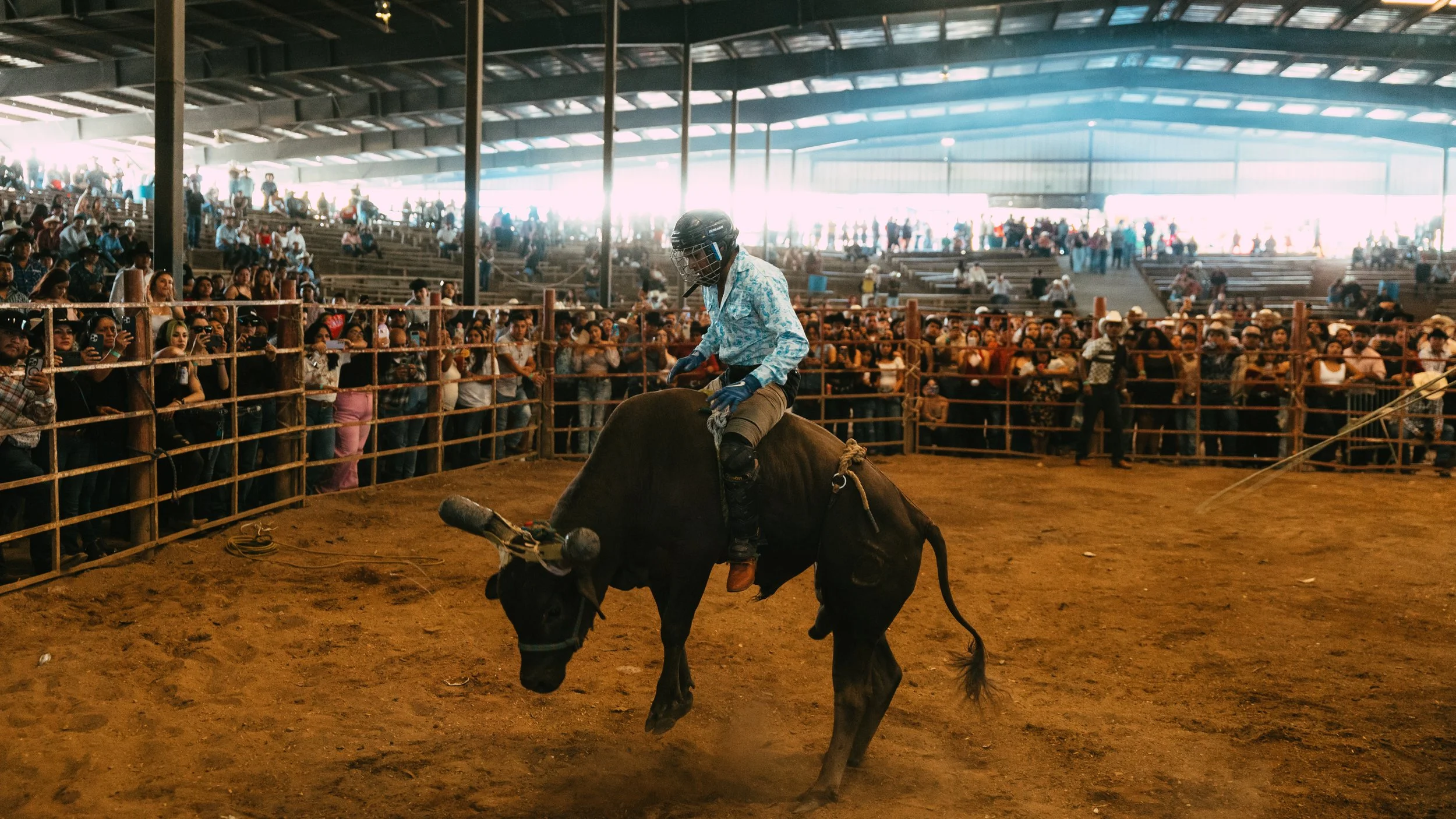 Rodeo-11.jpg