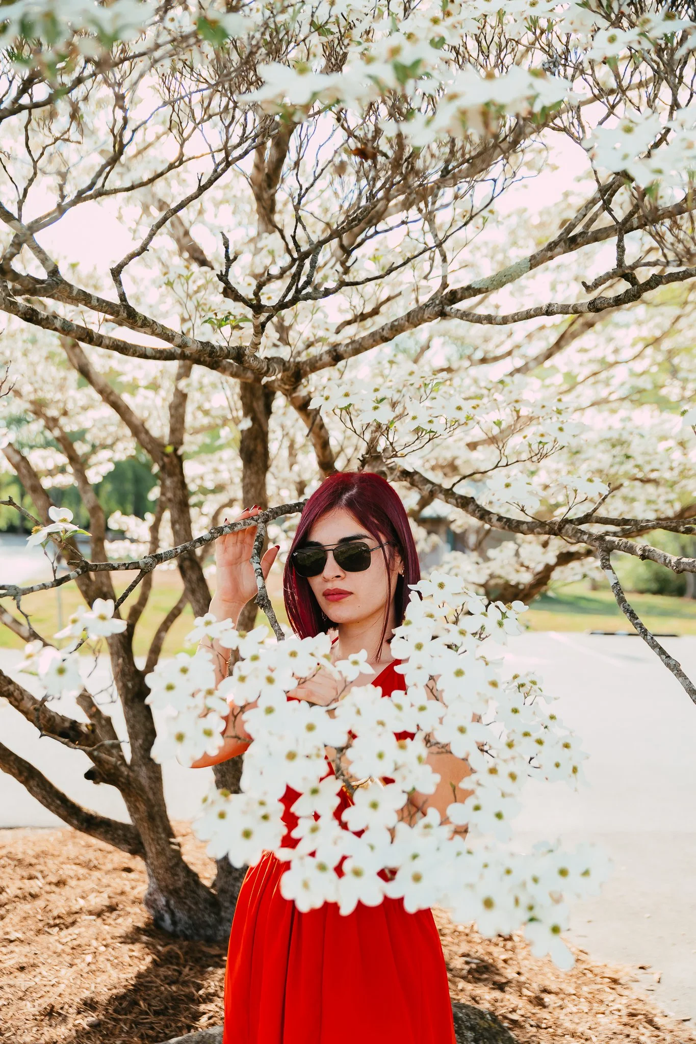 RedDress-35.jpg