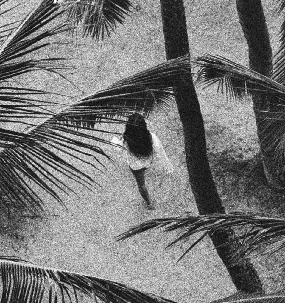 A person walking on a sandy surface surrounded by tall palm trees and large fronds.