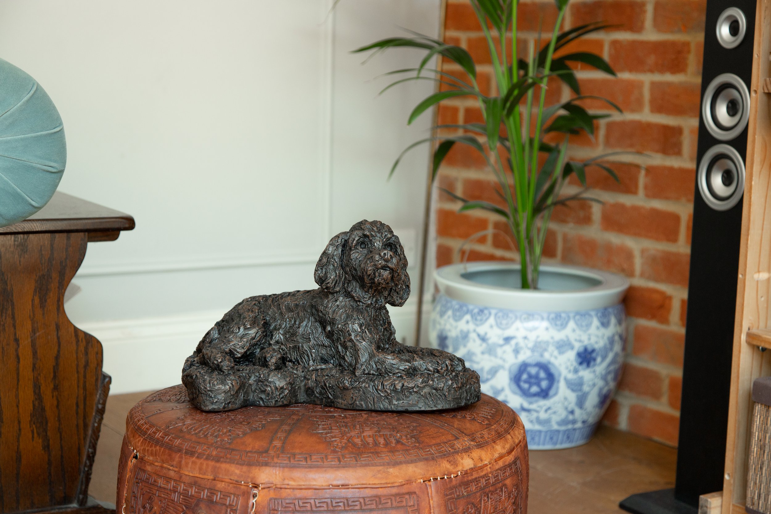 Cockapoo-03.jpg