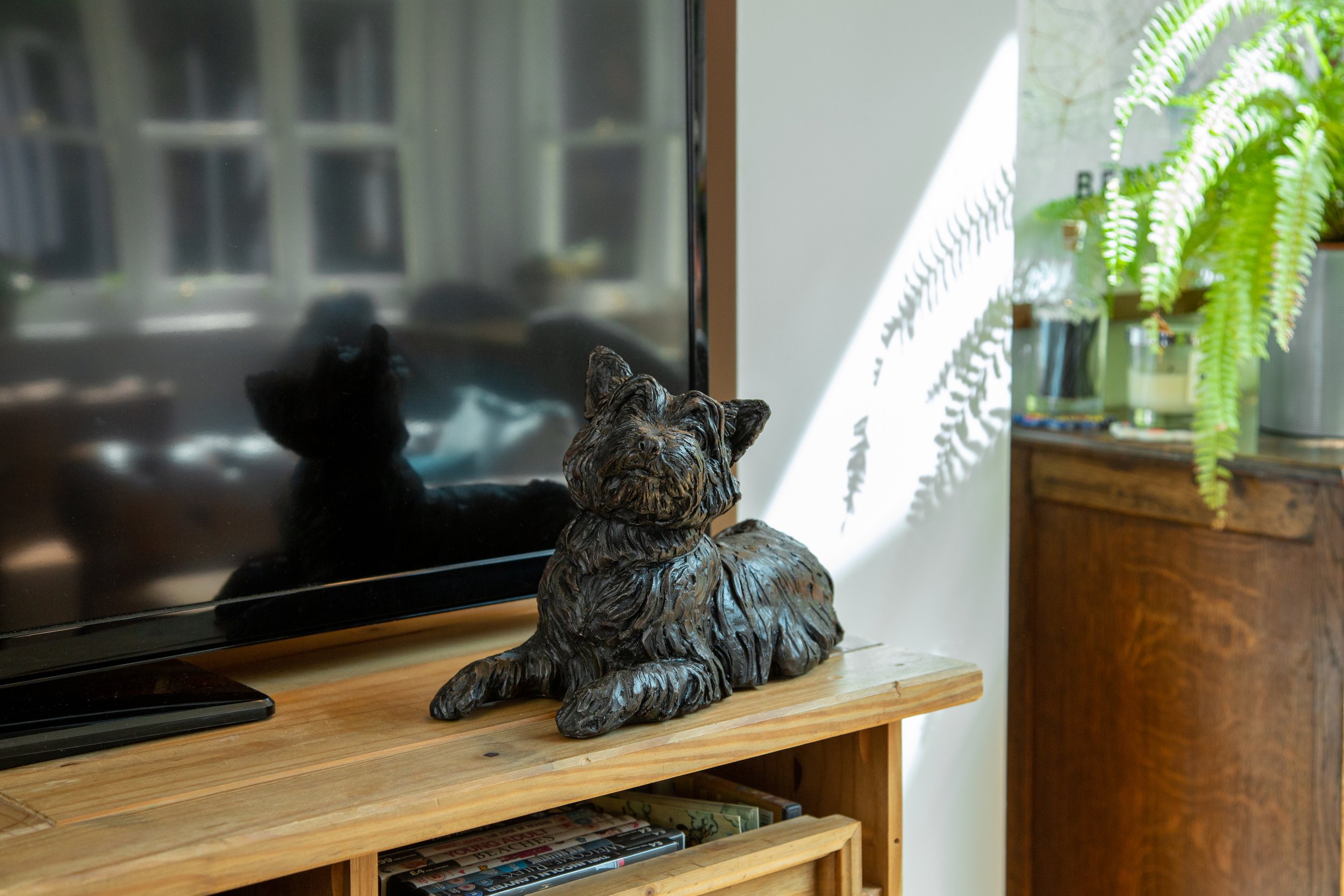 West-Highland-Terrier-04.jpg