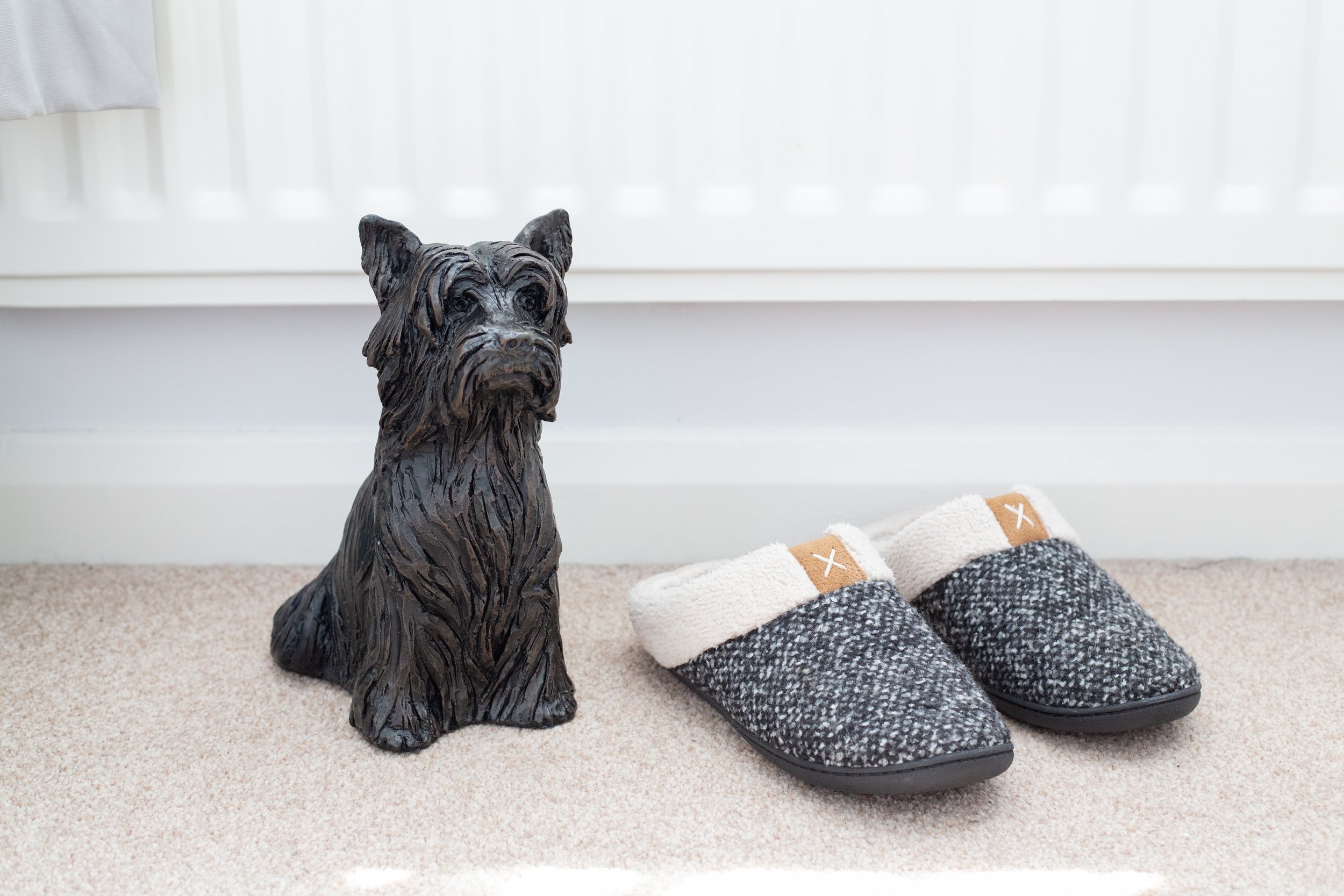 Yorkshire-Terrier-13.jpg