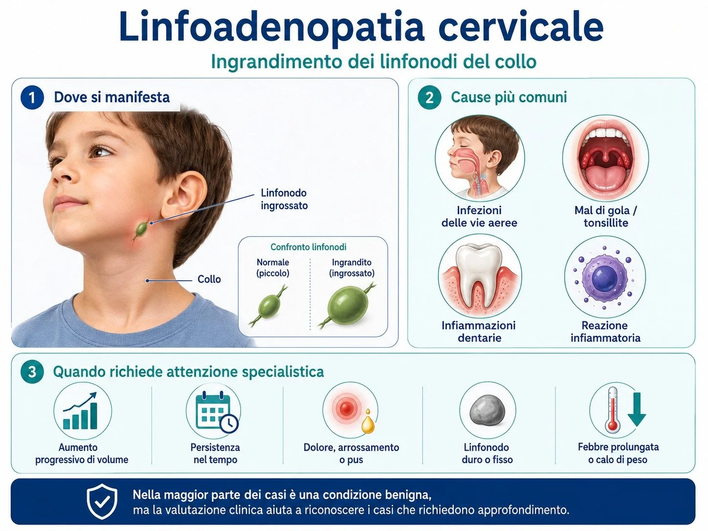 Linfoadenopatie cervicali

Le linfoadenopatie sono ingrossamenti dei linfonodi, frequenti in et&agrave; pediatrica e spesso legati a infezioni o infiammazioni locali. Nella maggior parte dei casi hanno un andamento benigno e tendono a ridursi spontan