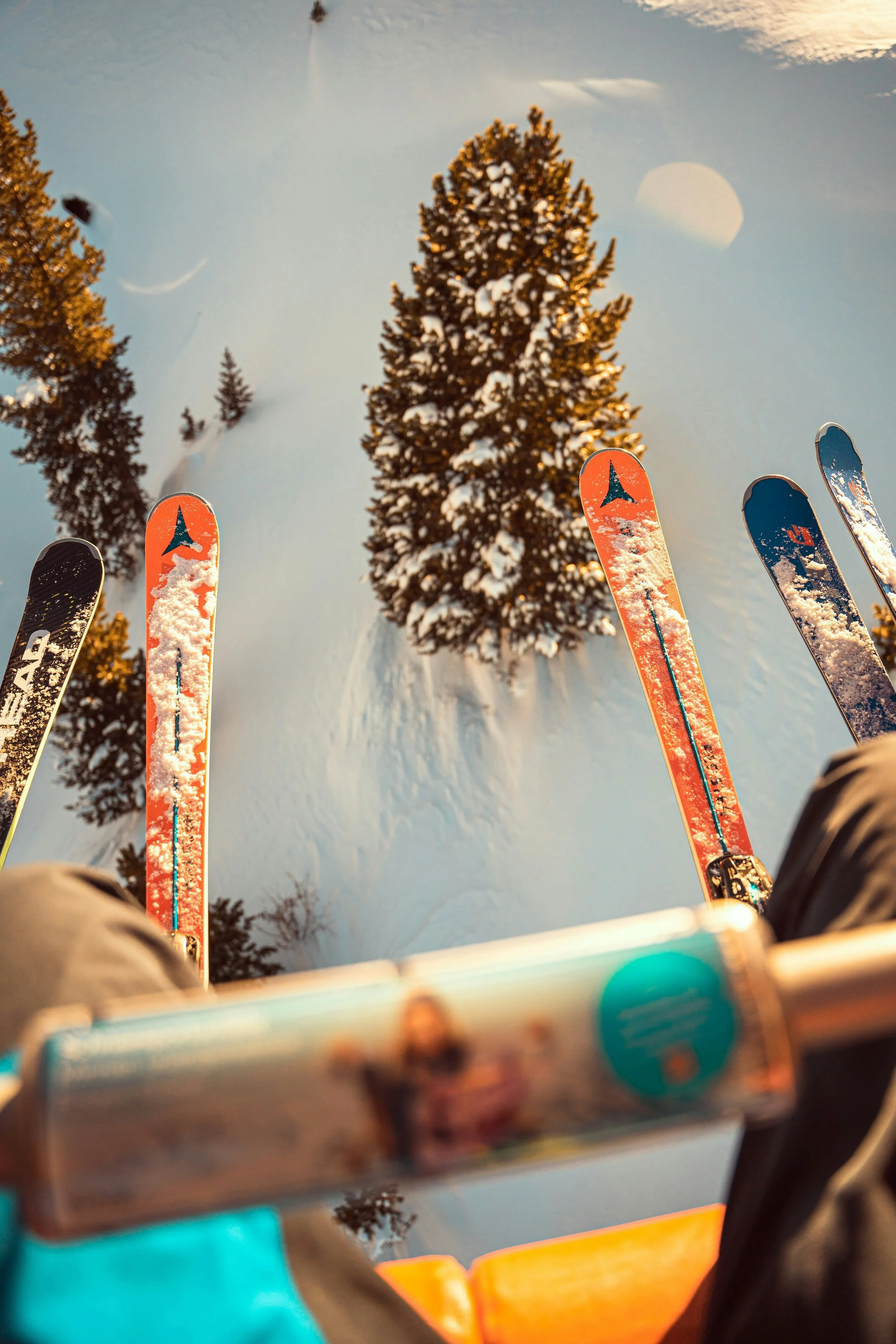View from downhill skiing perspective showing ski tips covered with snow, tall snow-covered pine trees, and a partly cloudy sky.