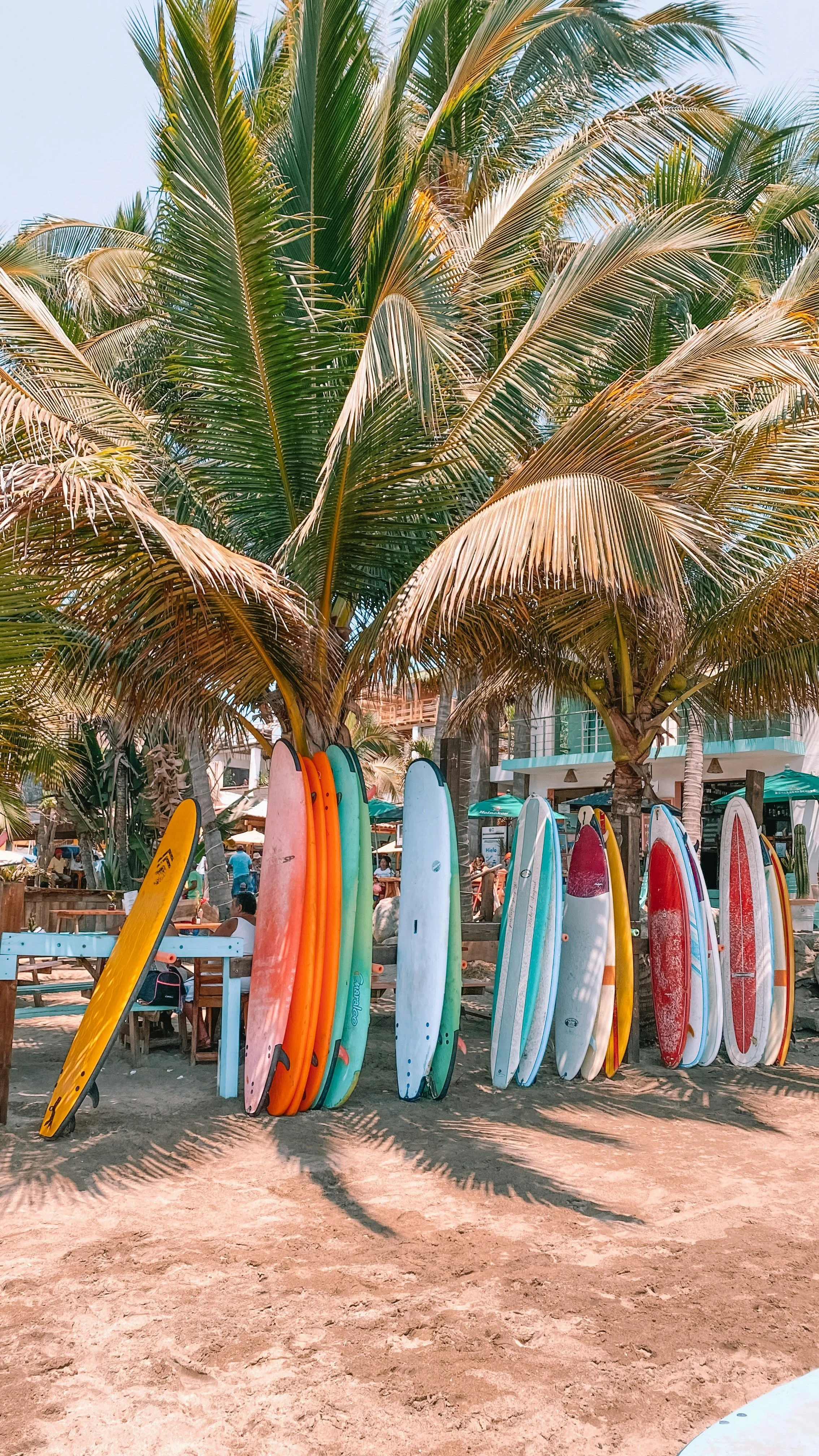 Colorful surfboards leaning against a wooden fence under palm trees in a beach setting with people and umbrellas in the background.